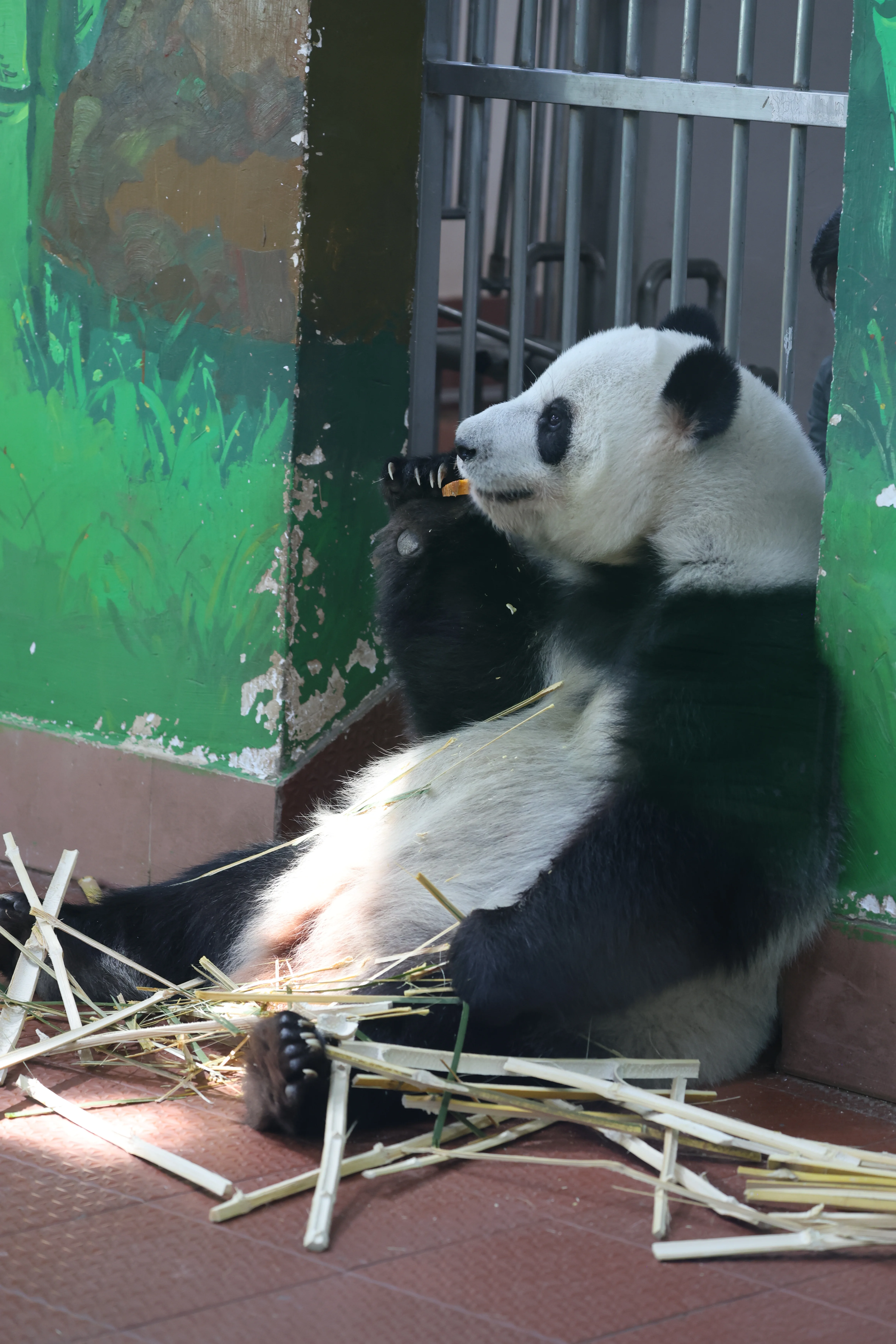 Guangzhou Zoo