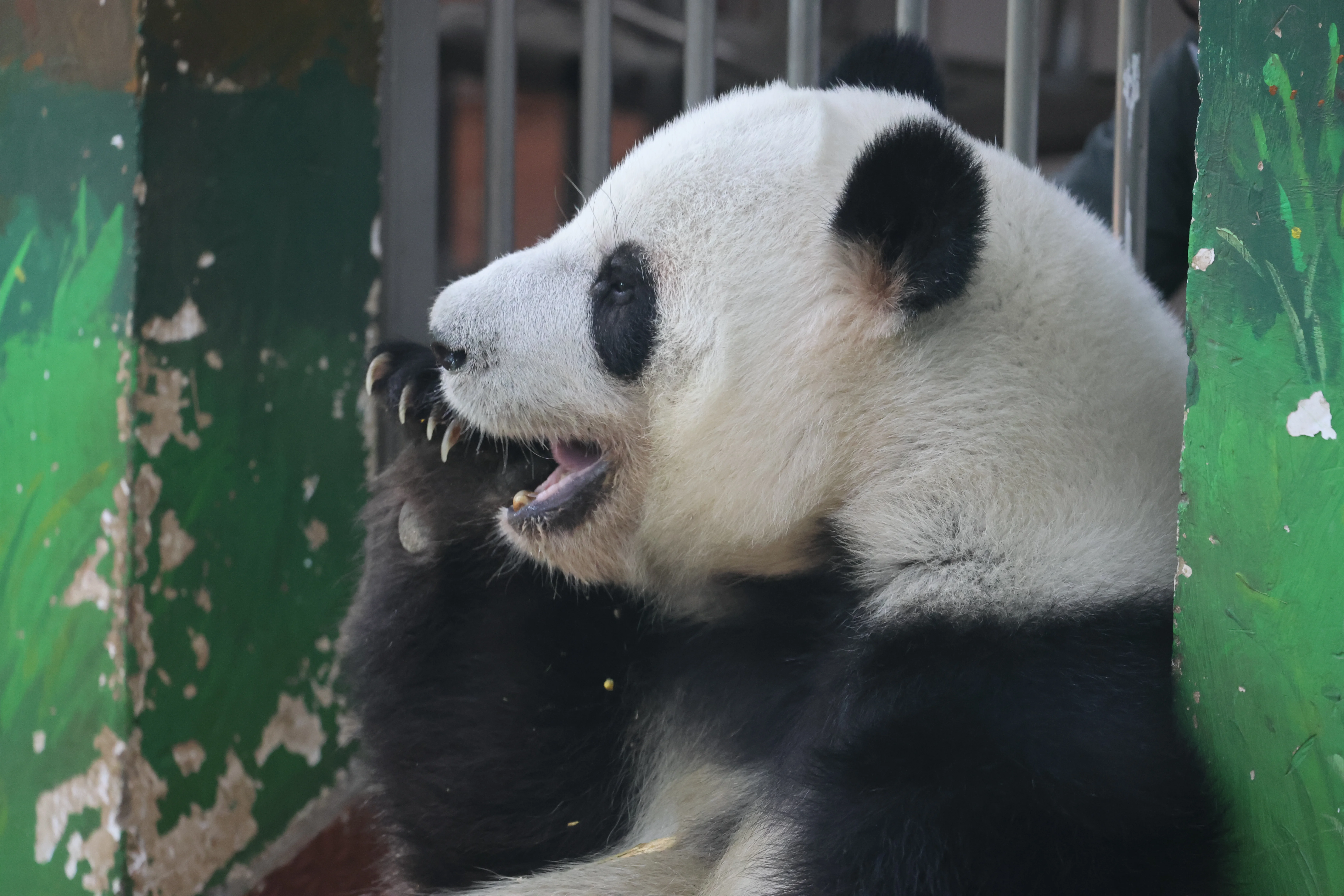 Guangzhou Zoo