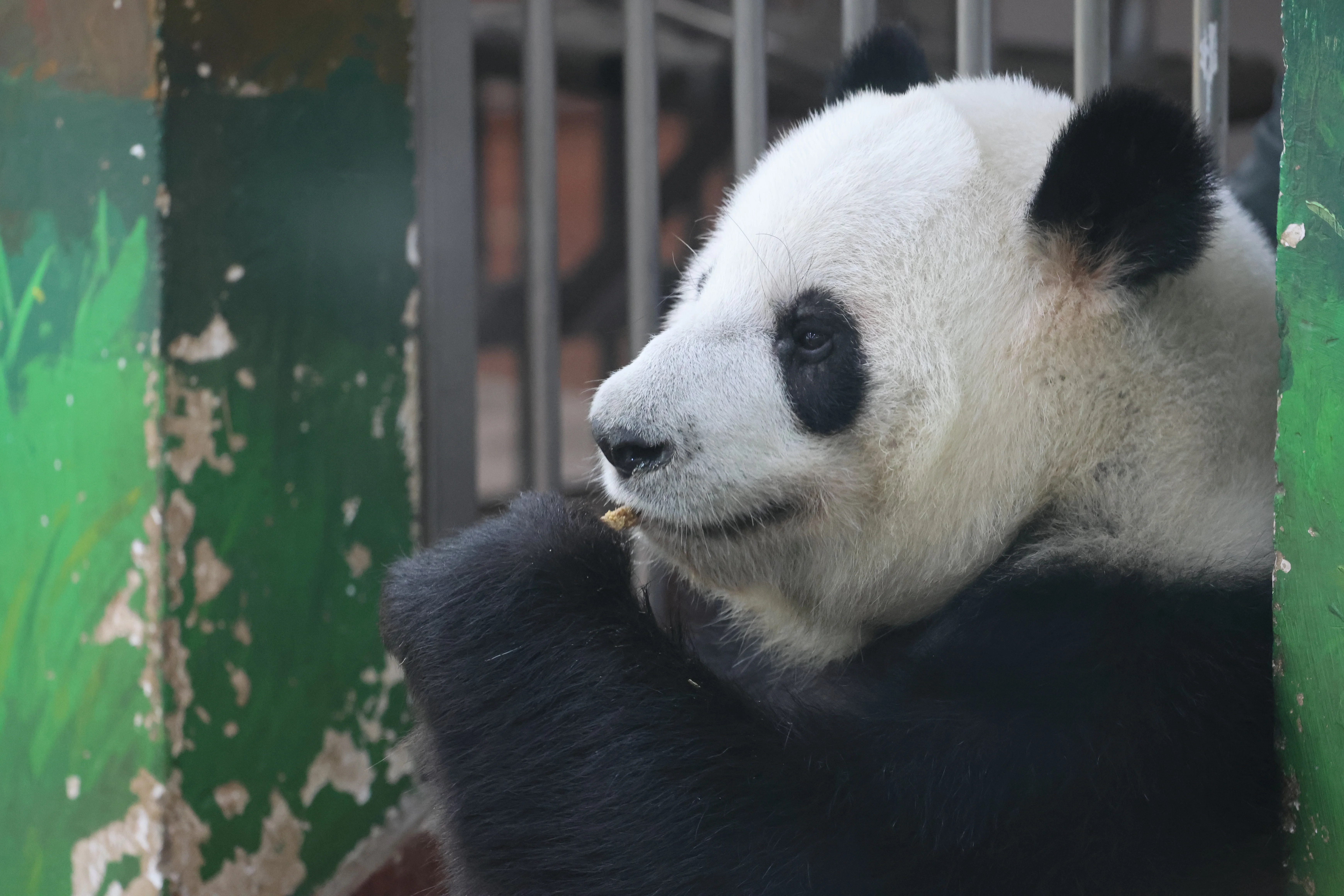 Guangzhou Zoo