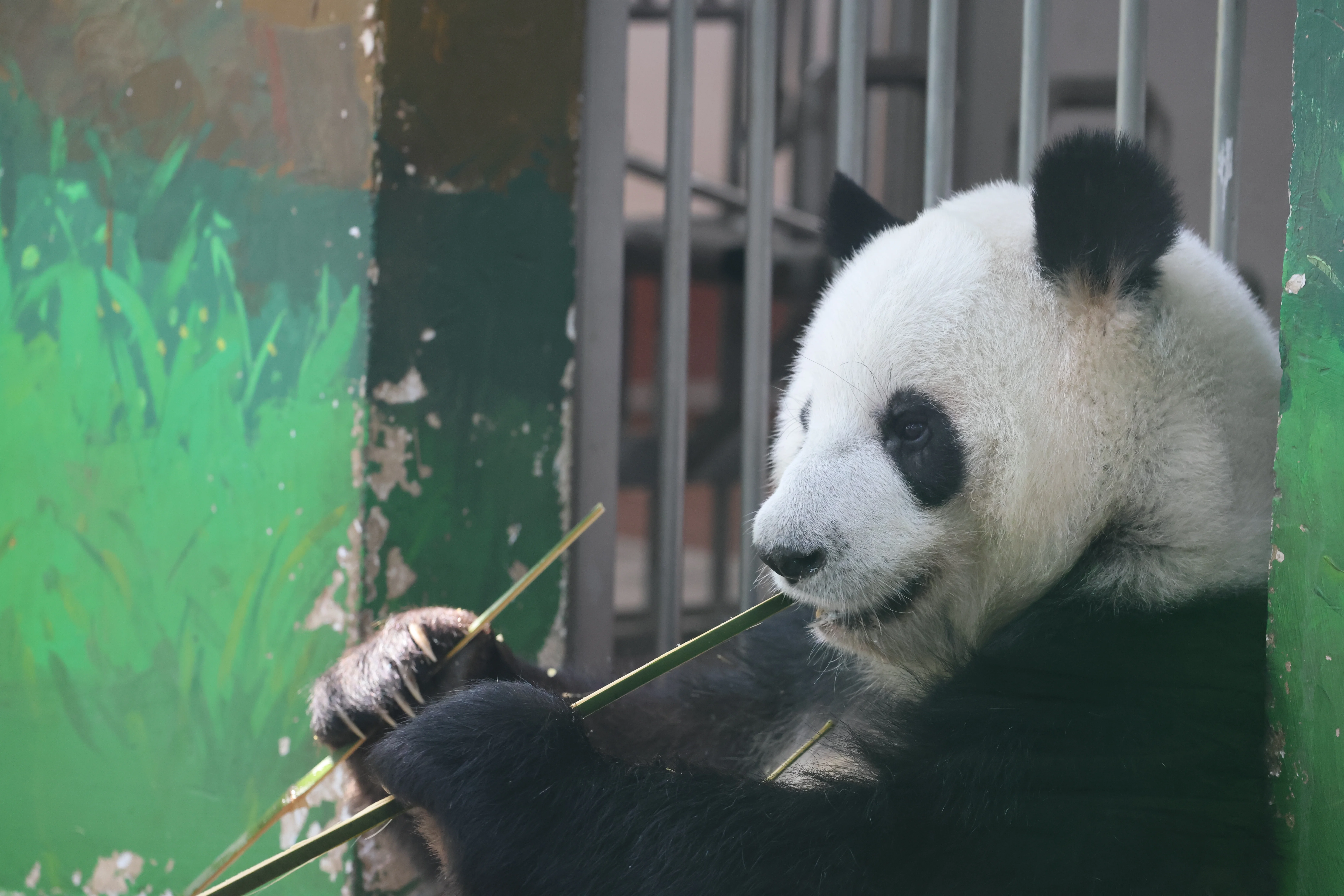 Guangzhou Zoo