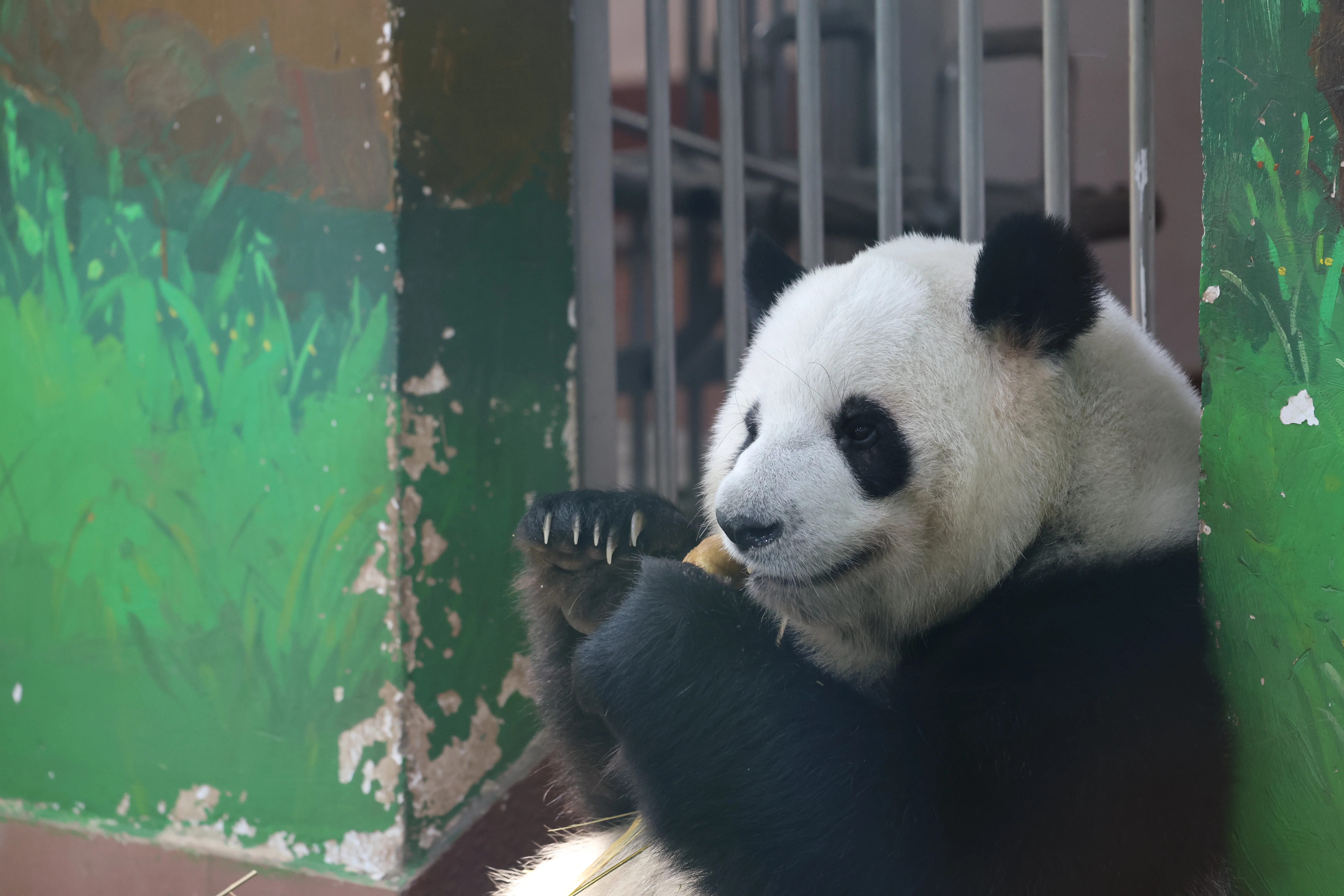 Guangzhou Zoo