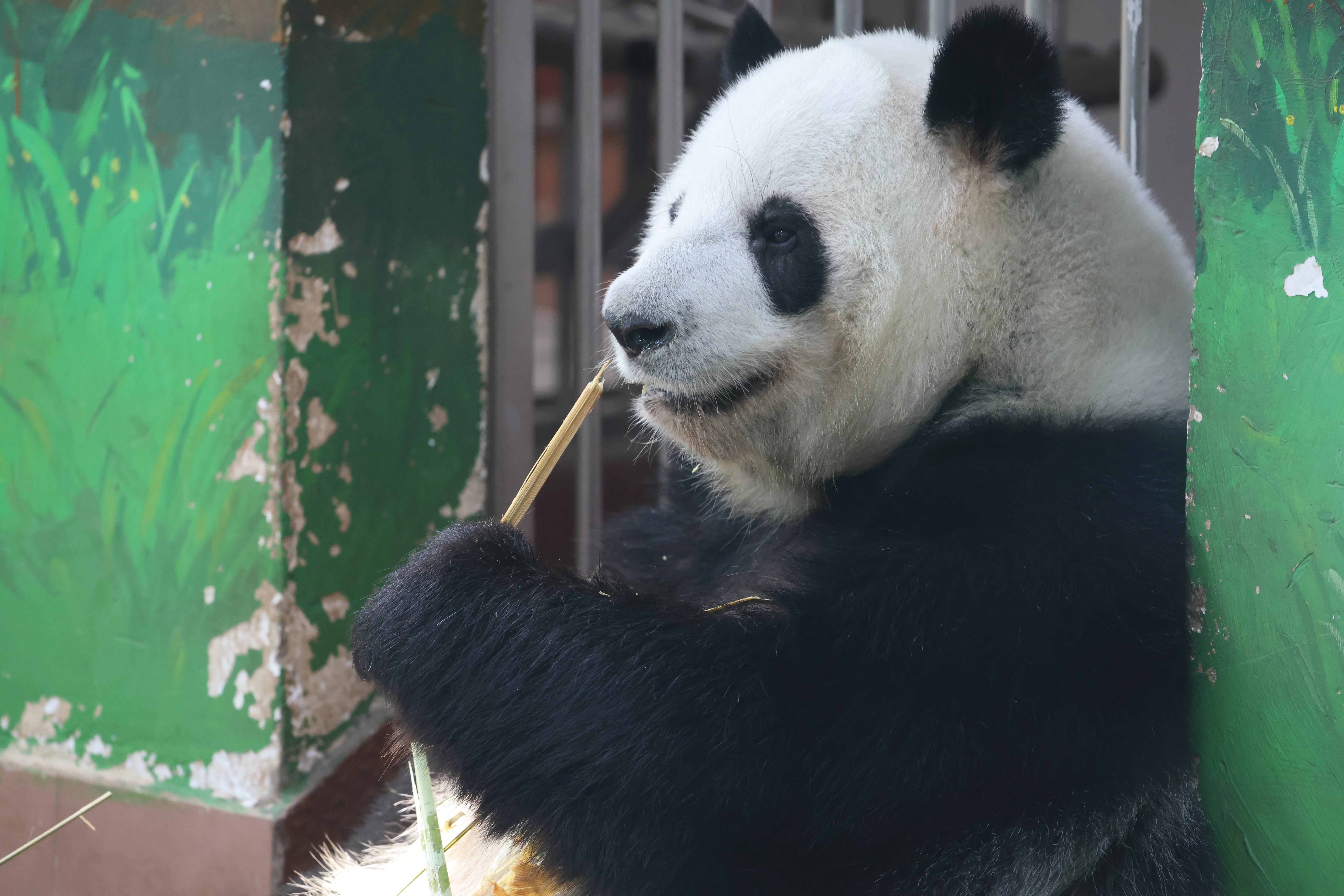 Guangzhou Zoo
