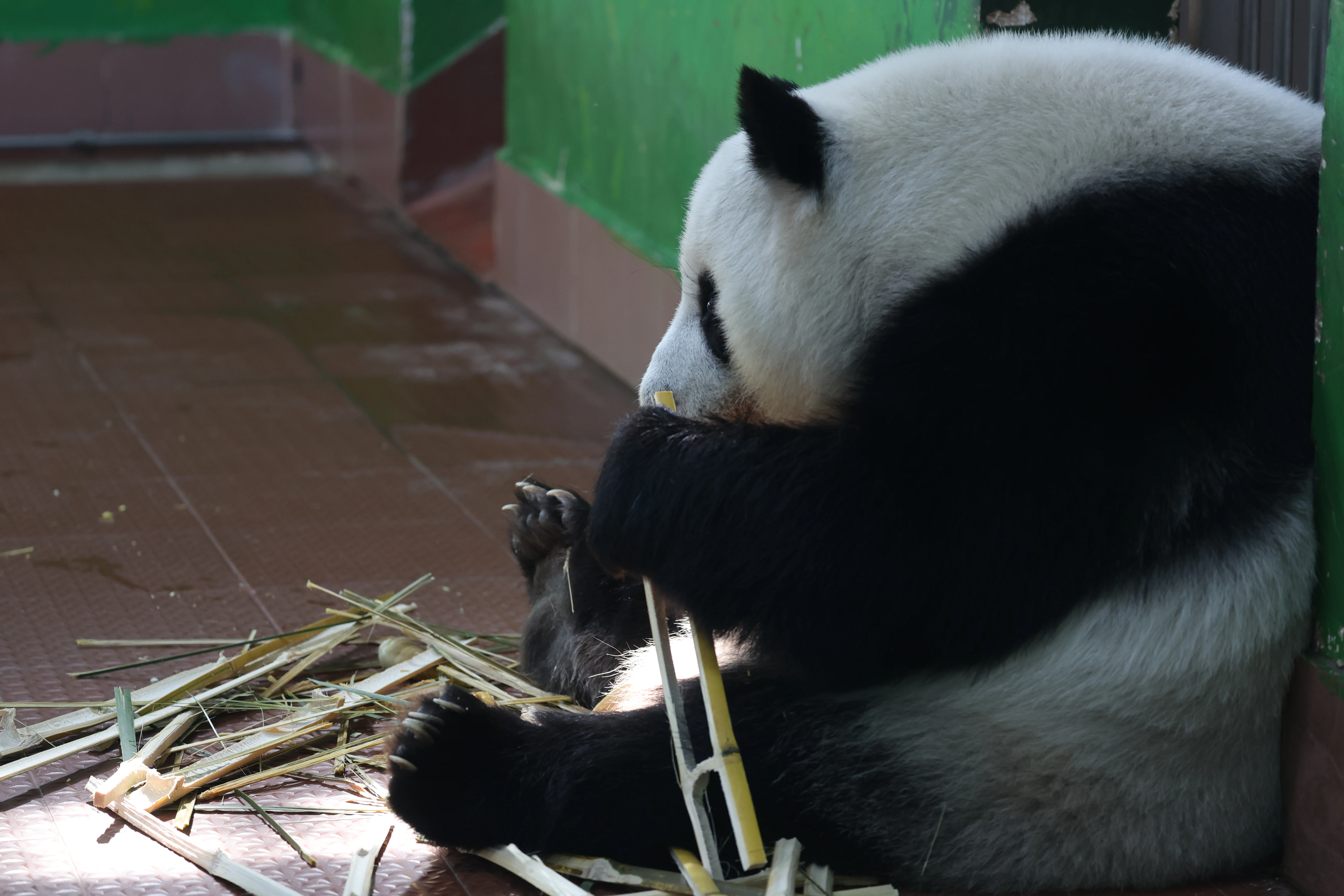 Guangzhou Zoo