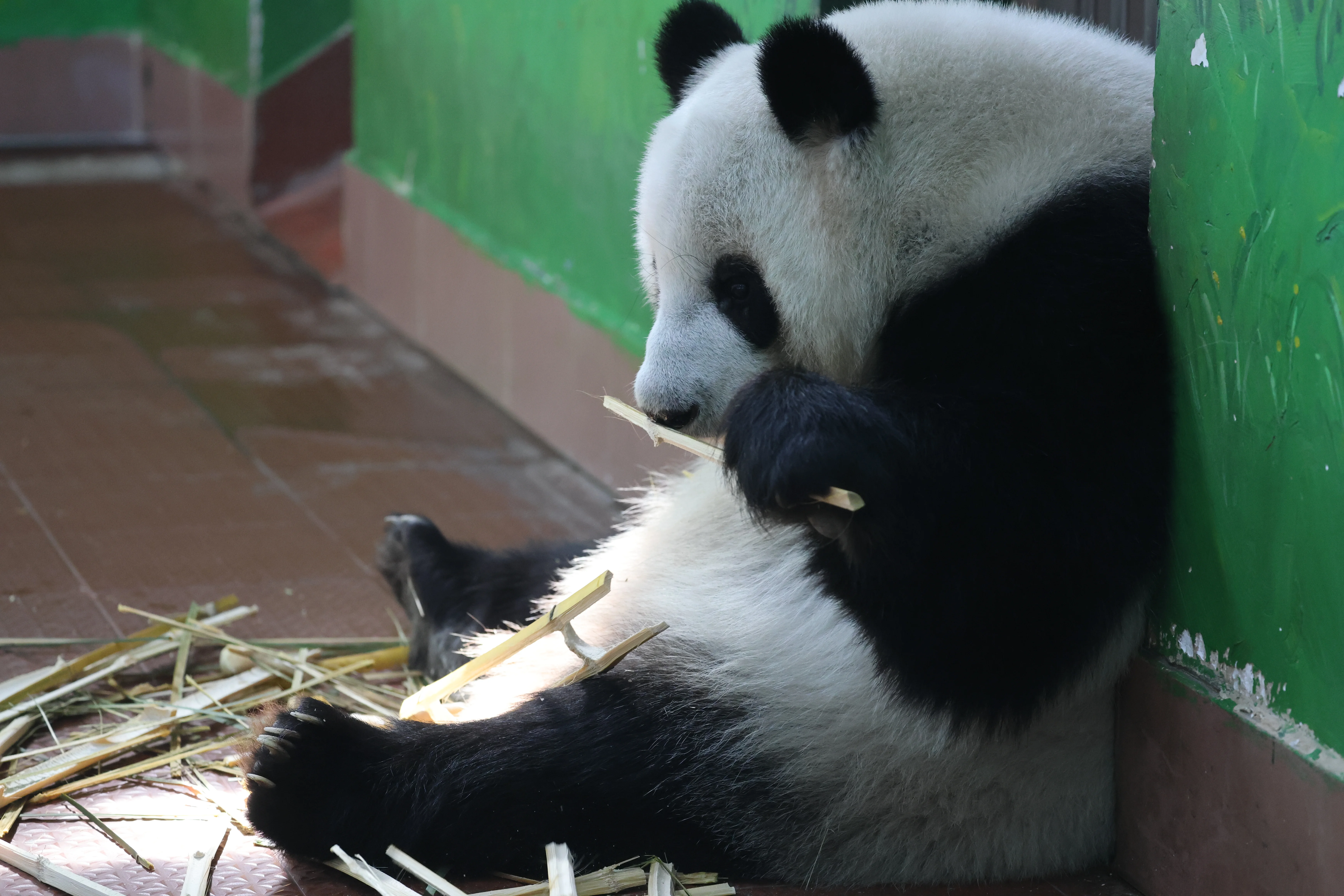 Guangzhou Zoo