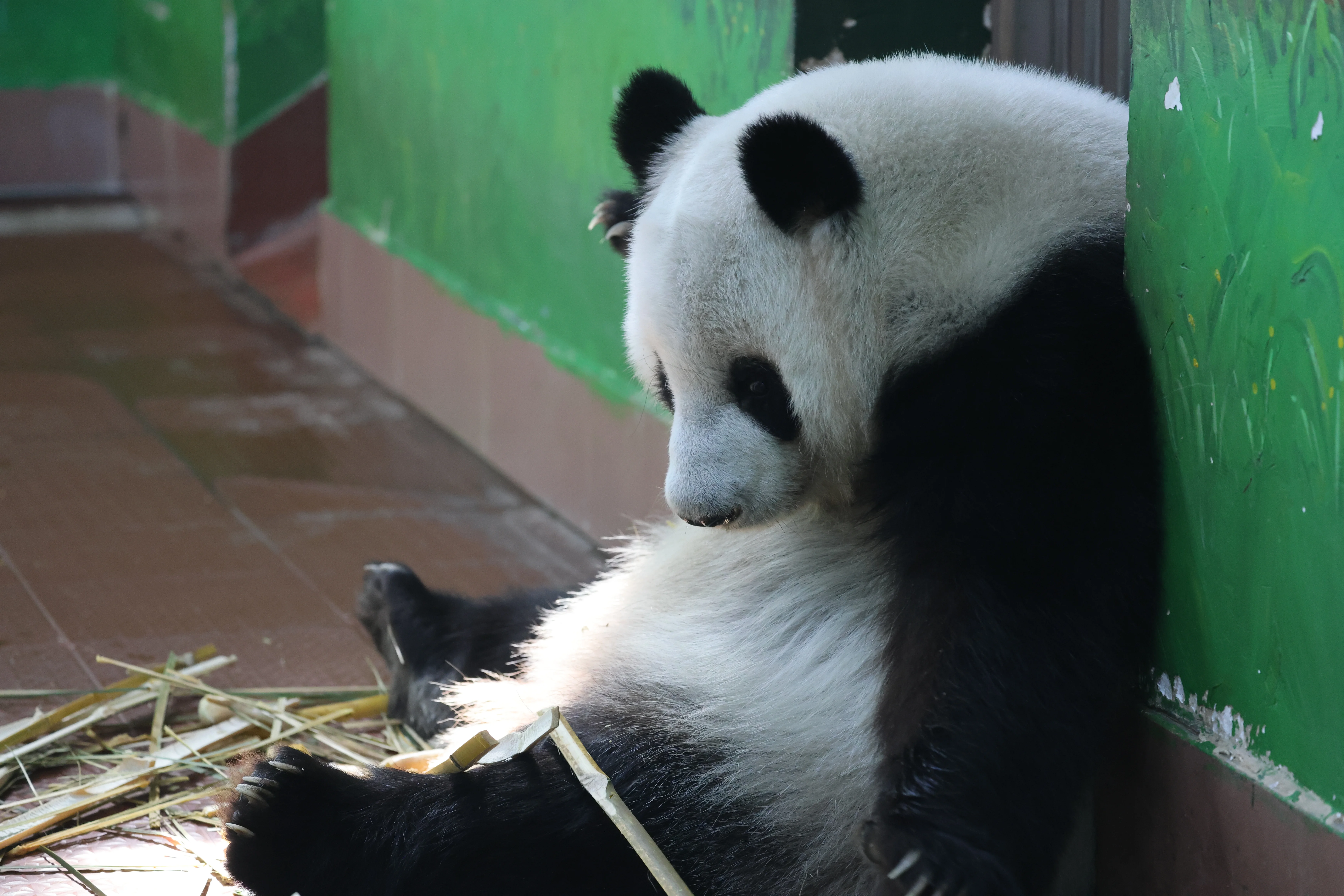Guangzhou Zoo