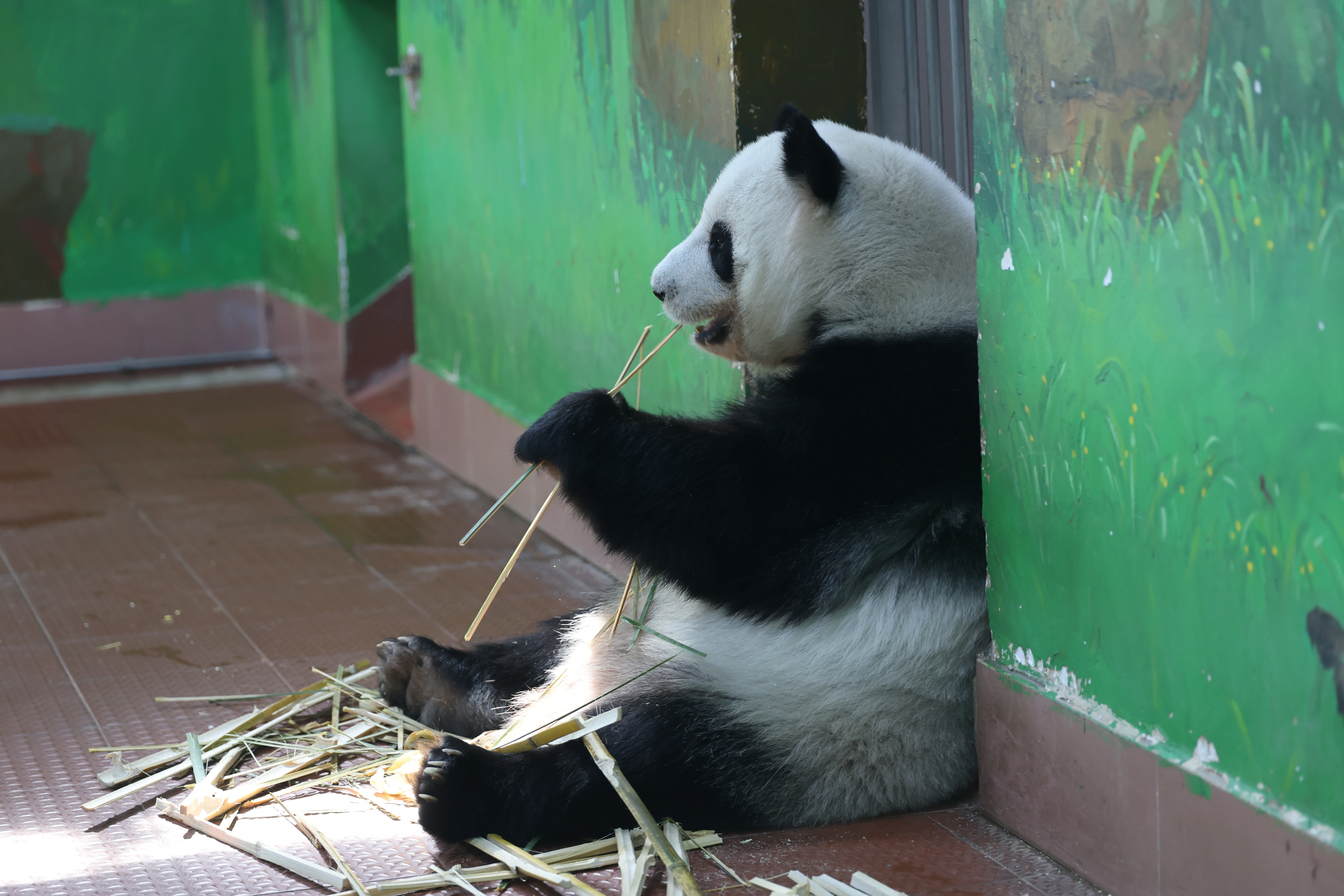Guangzhou Zoo