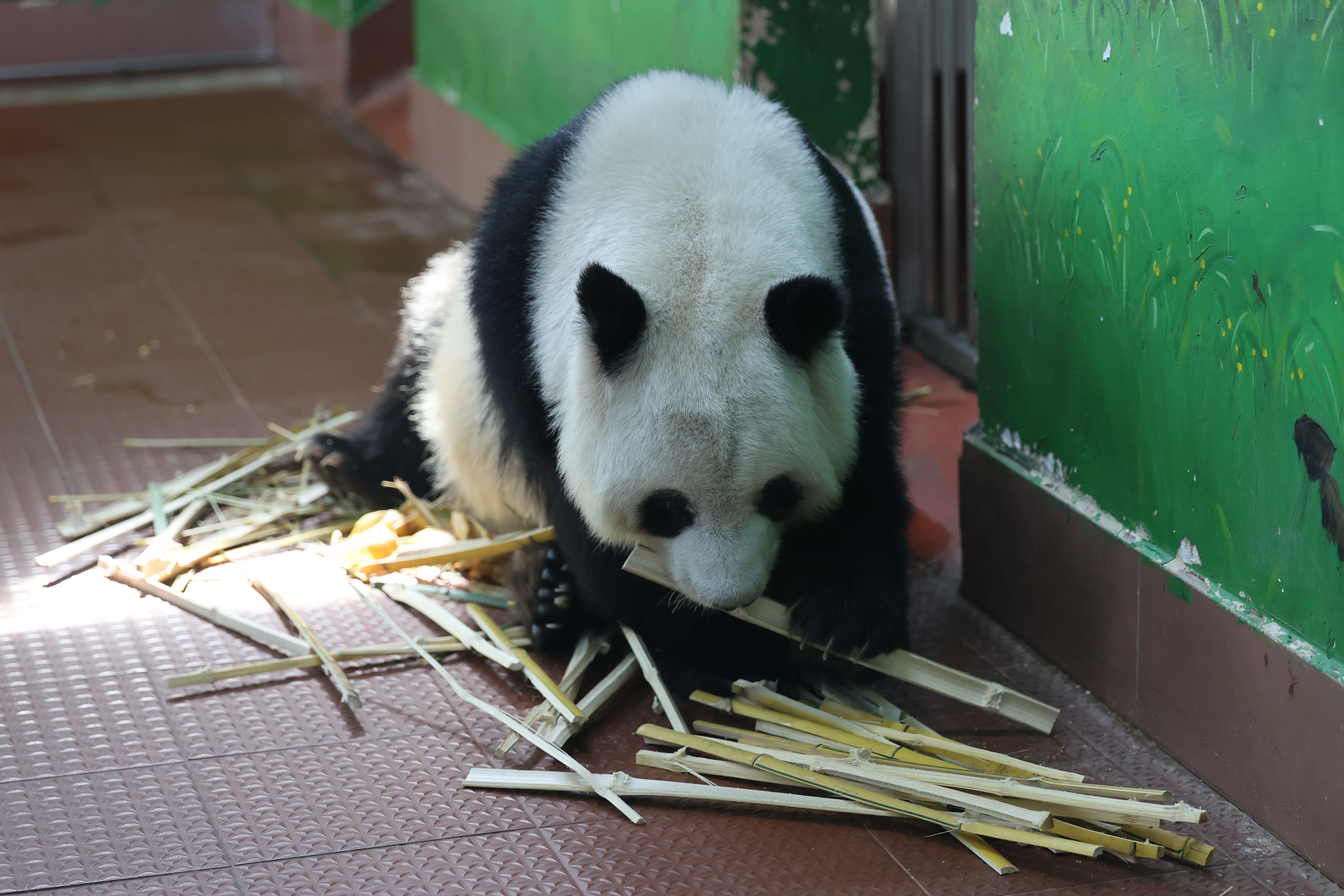 Guangzhou Zoo