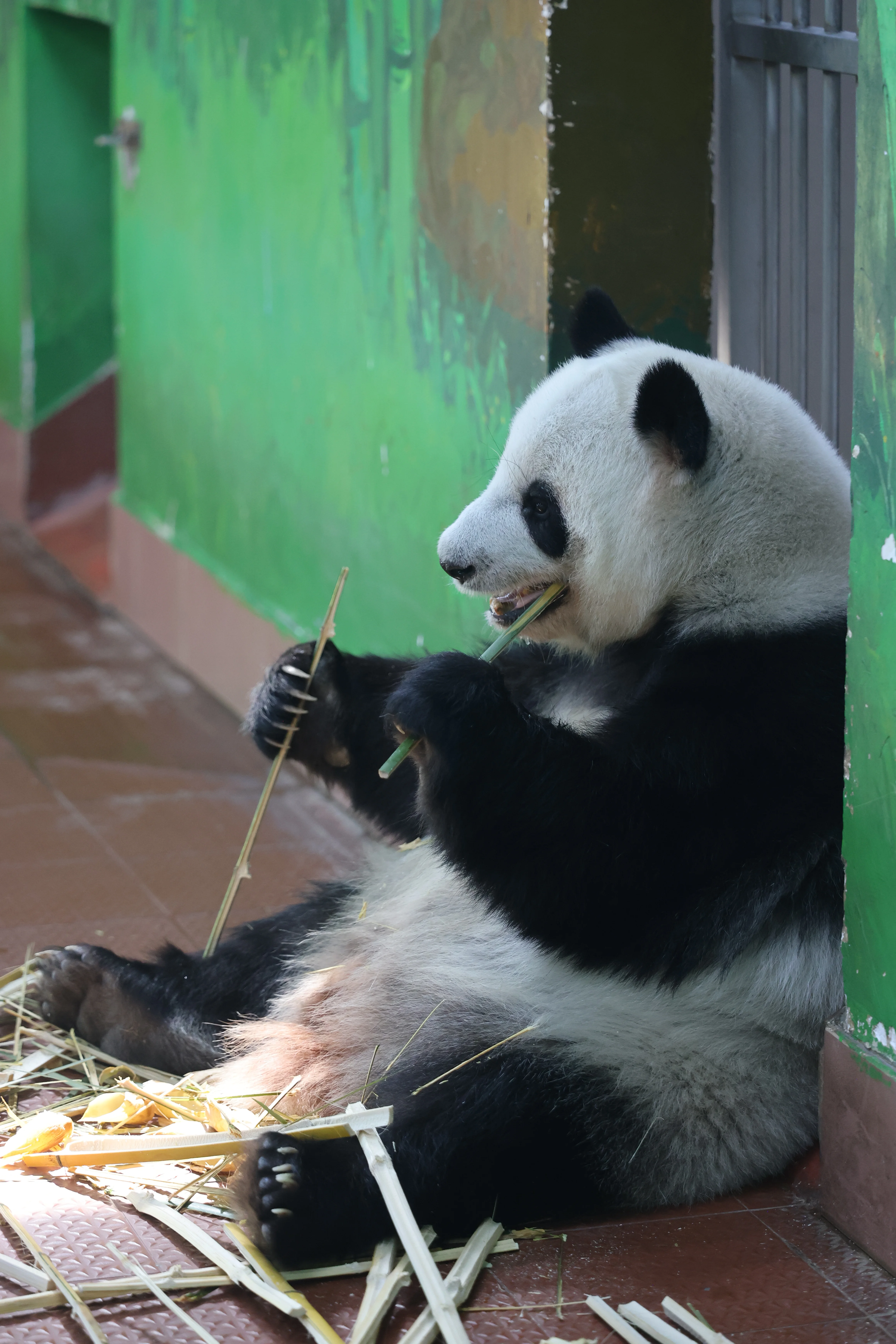 Guangzhou Zoo