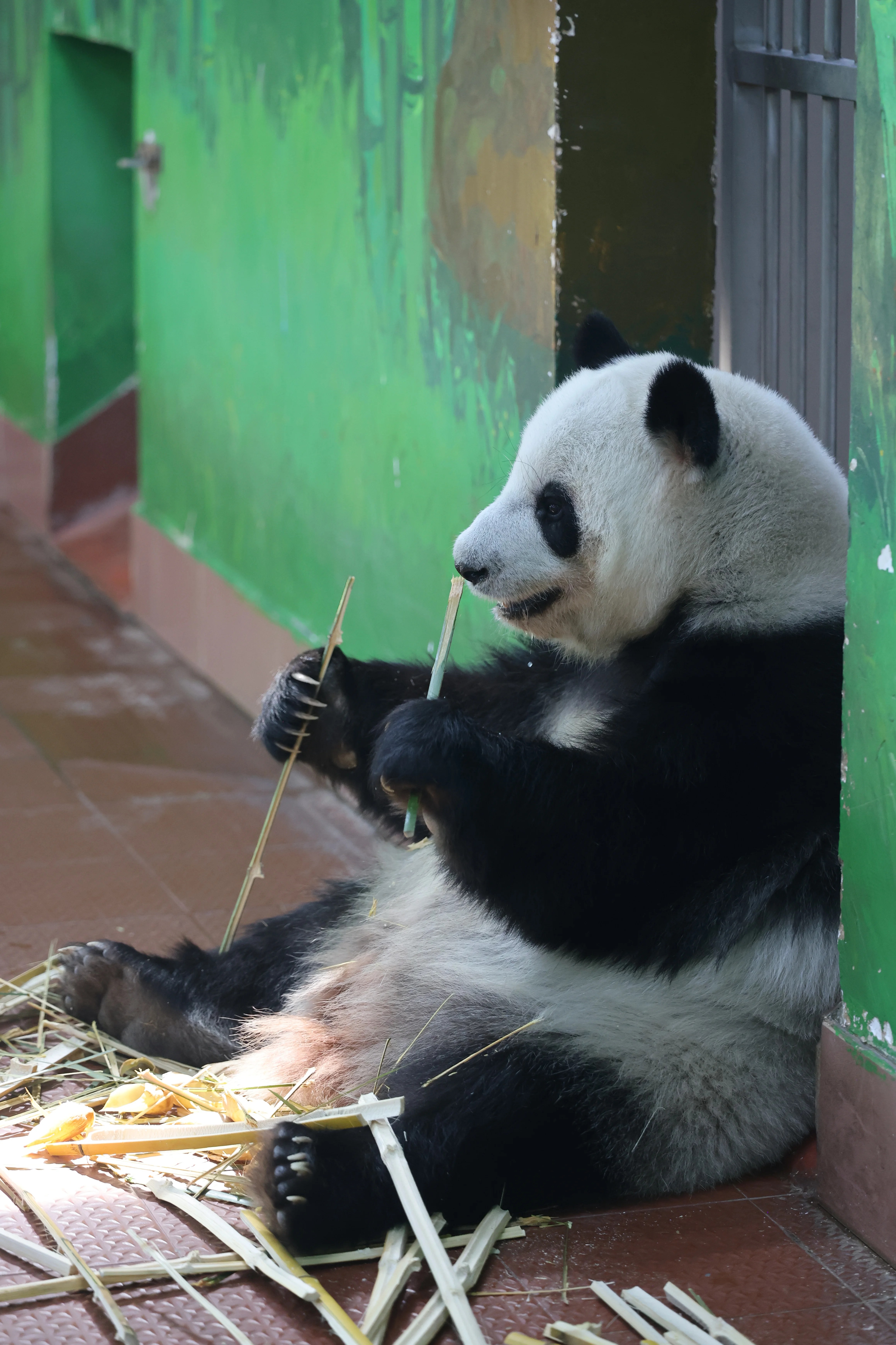Guangzhou Zoo