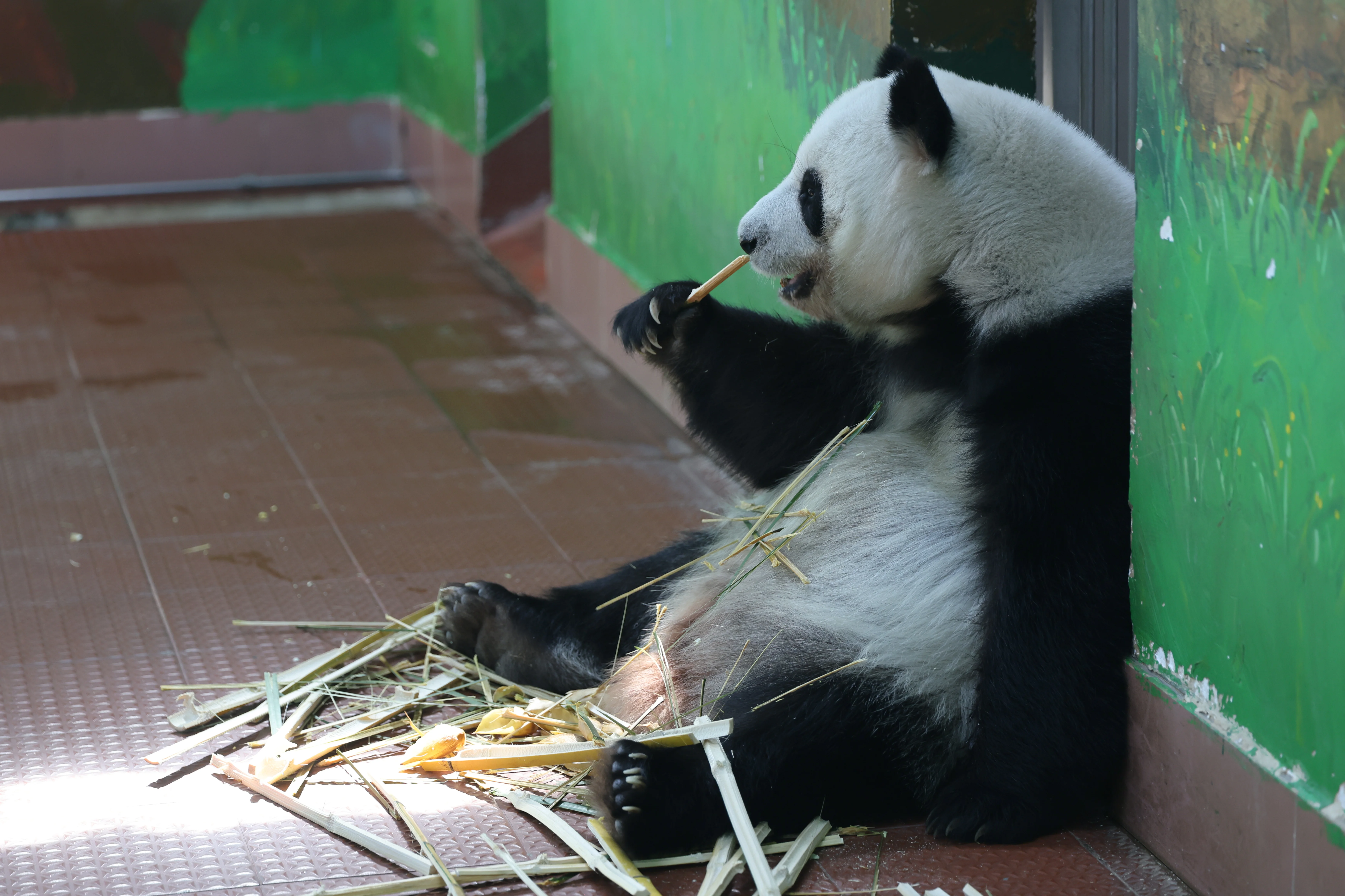 Guangzhou Zoo