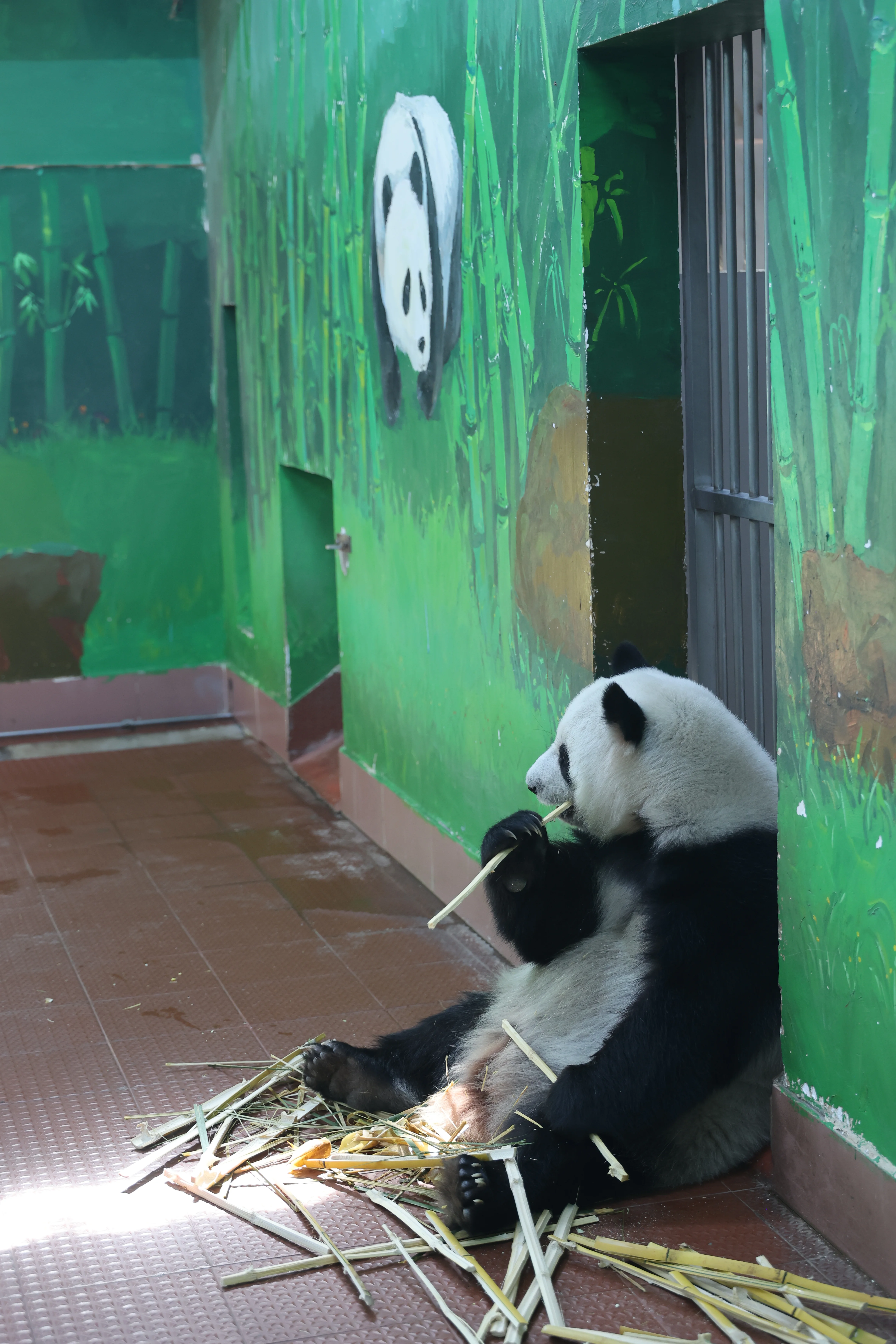 Guangzhou Zoo