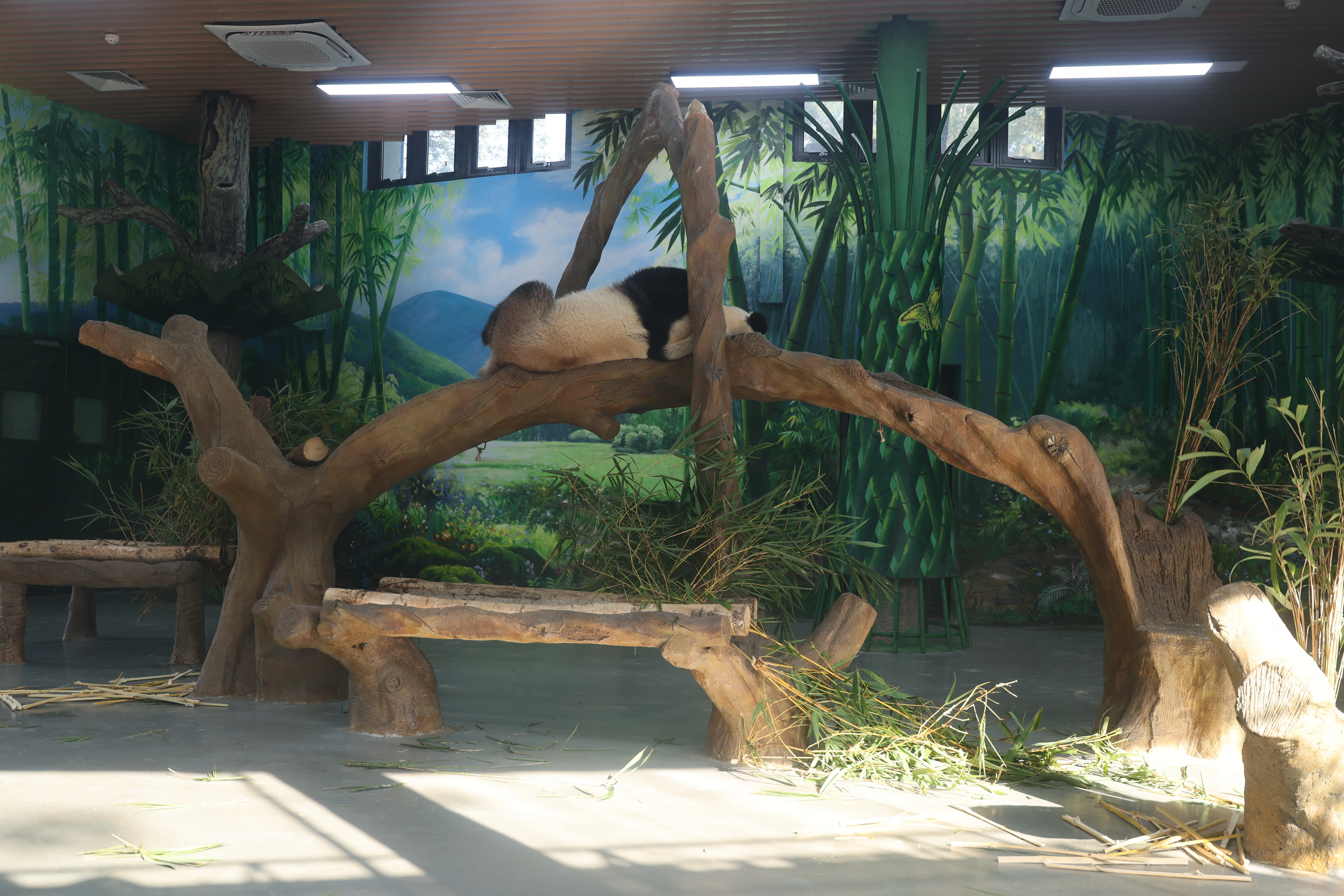 Guangzhou Zoo