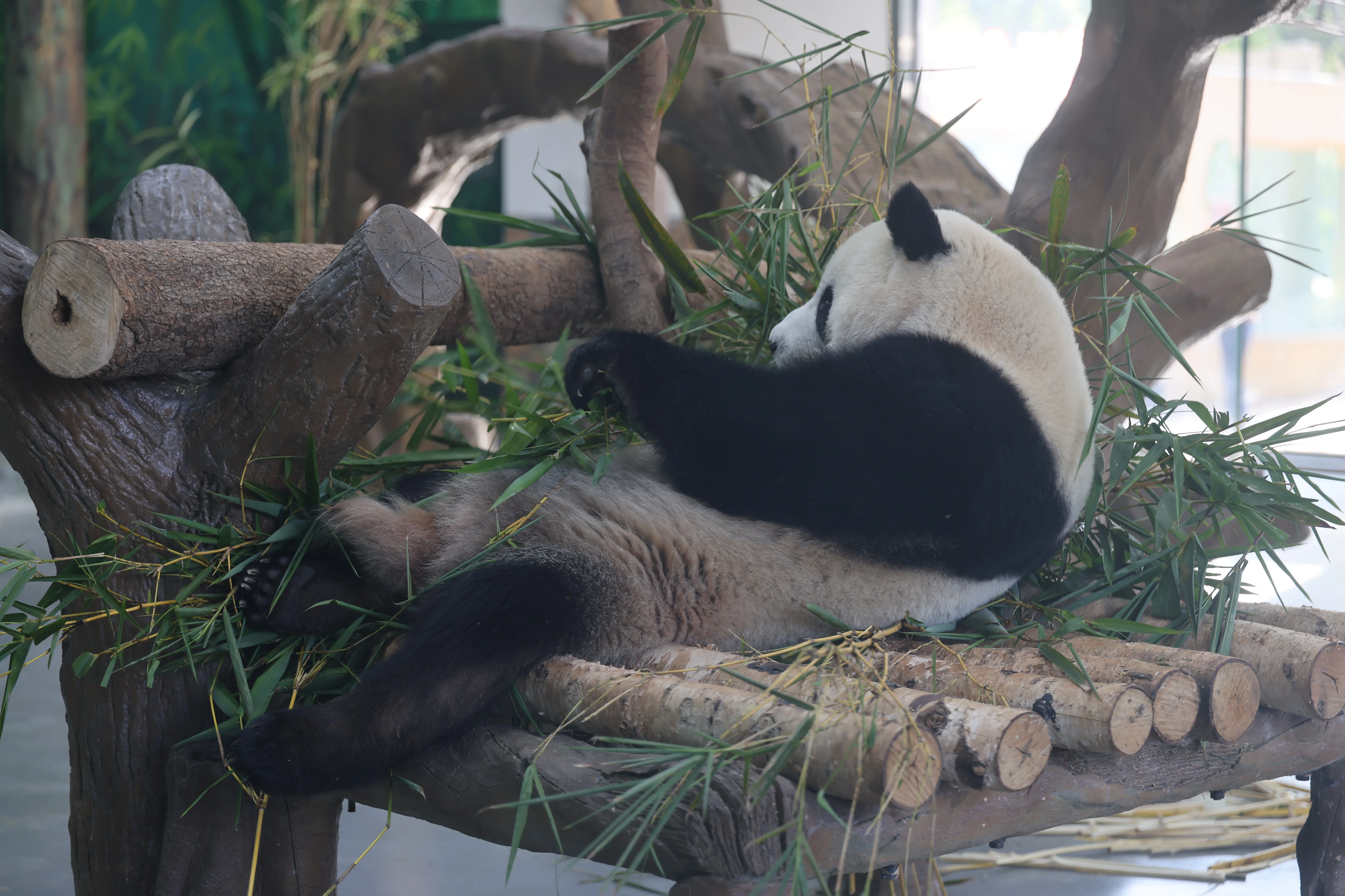 Guangzhou Zoo