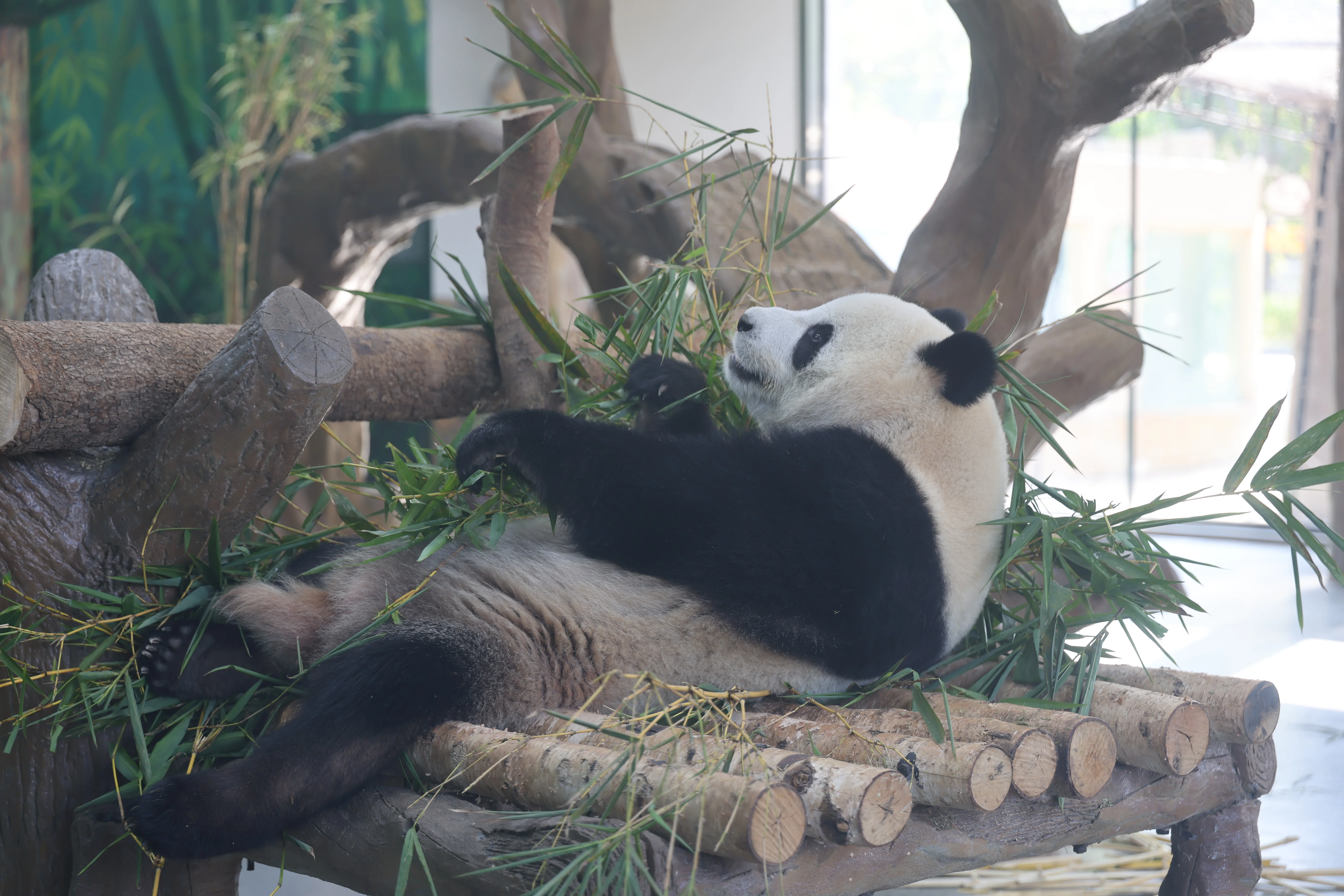 Guangzhou Zoo