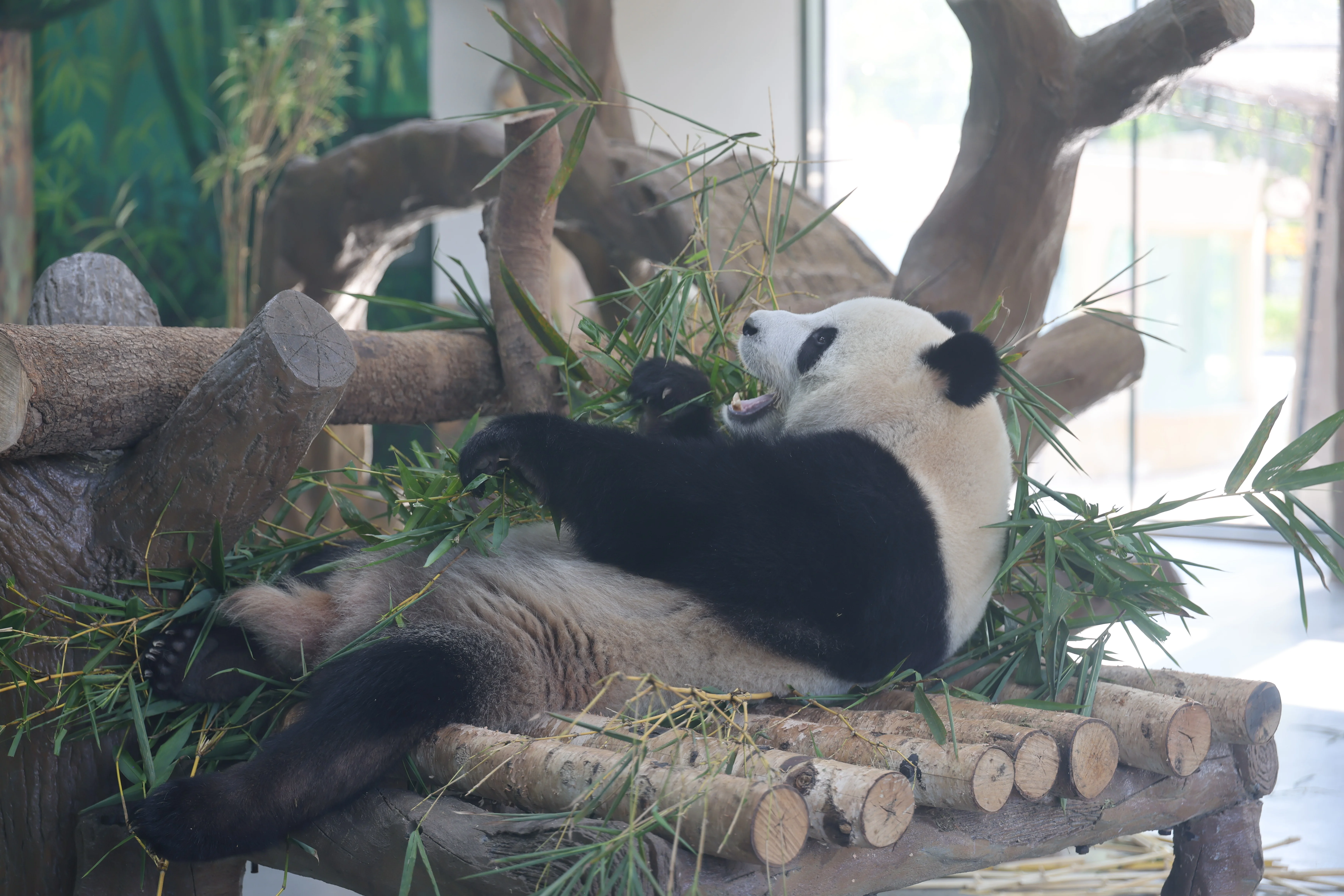 Guangzhou Zoo