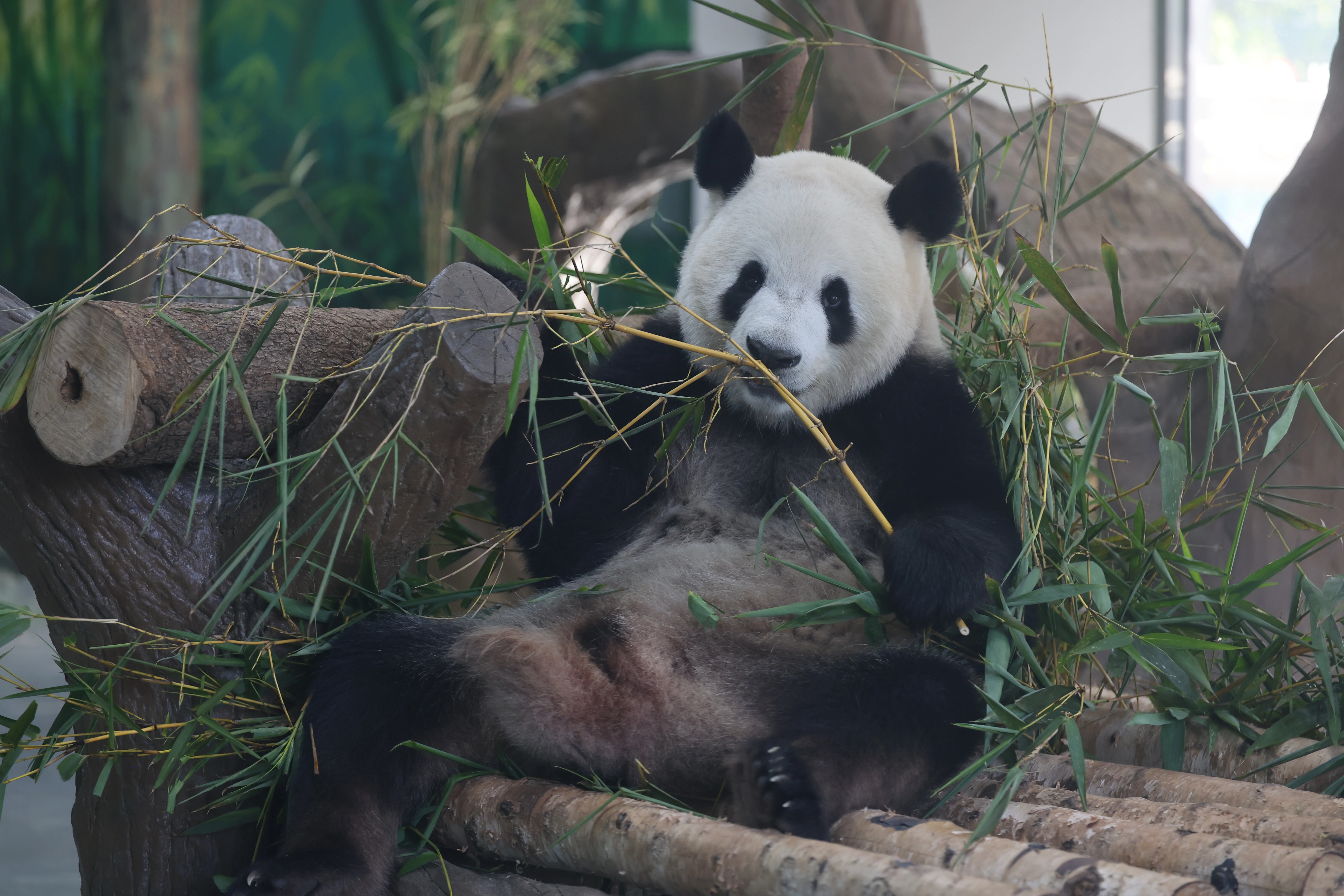 Guangzhou Zoo