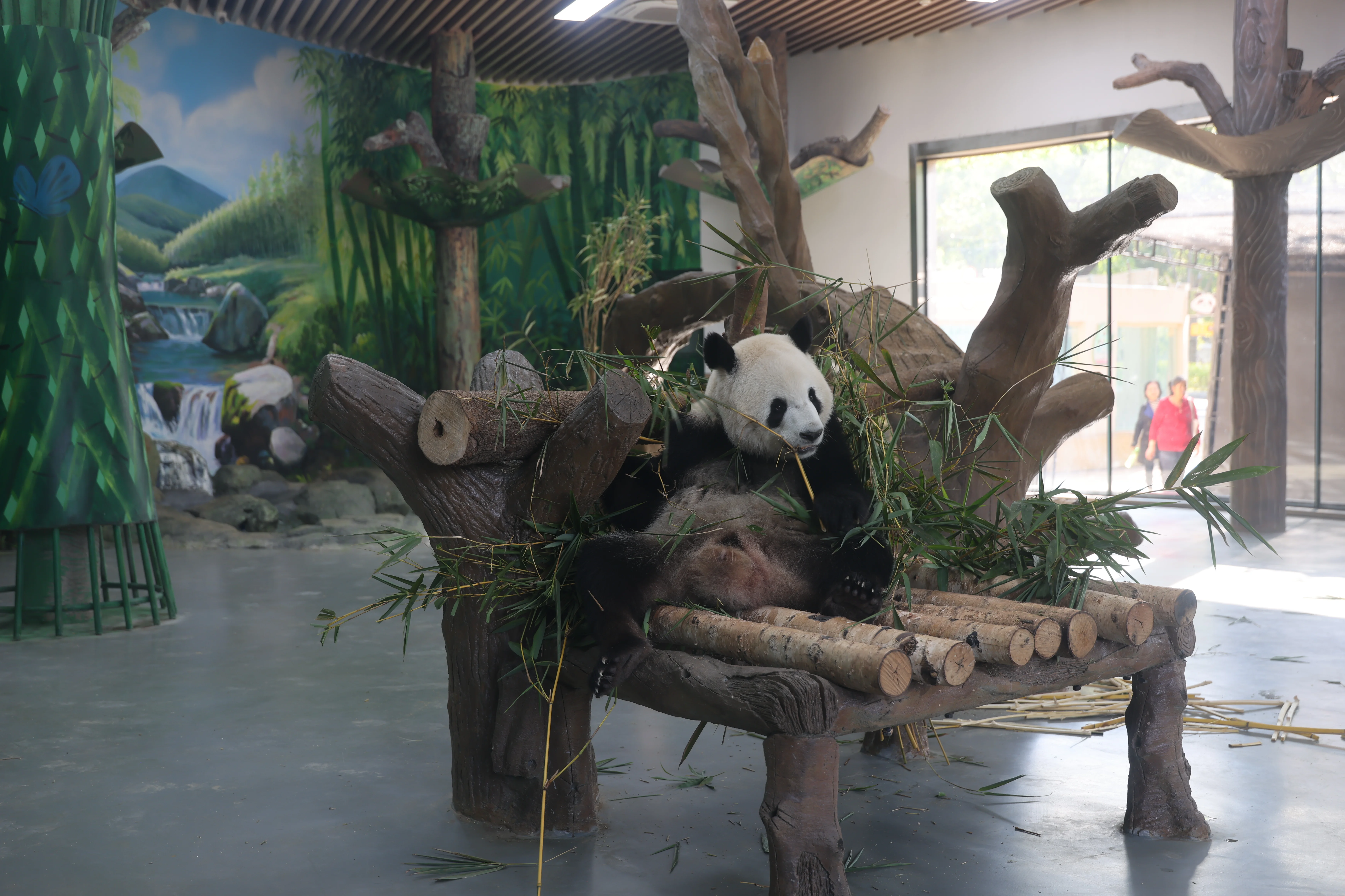 Guangzhou Zoo