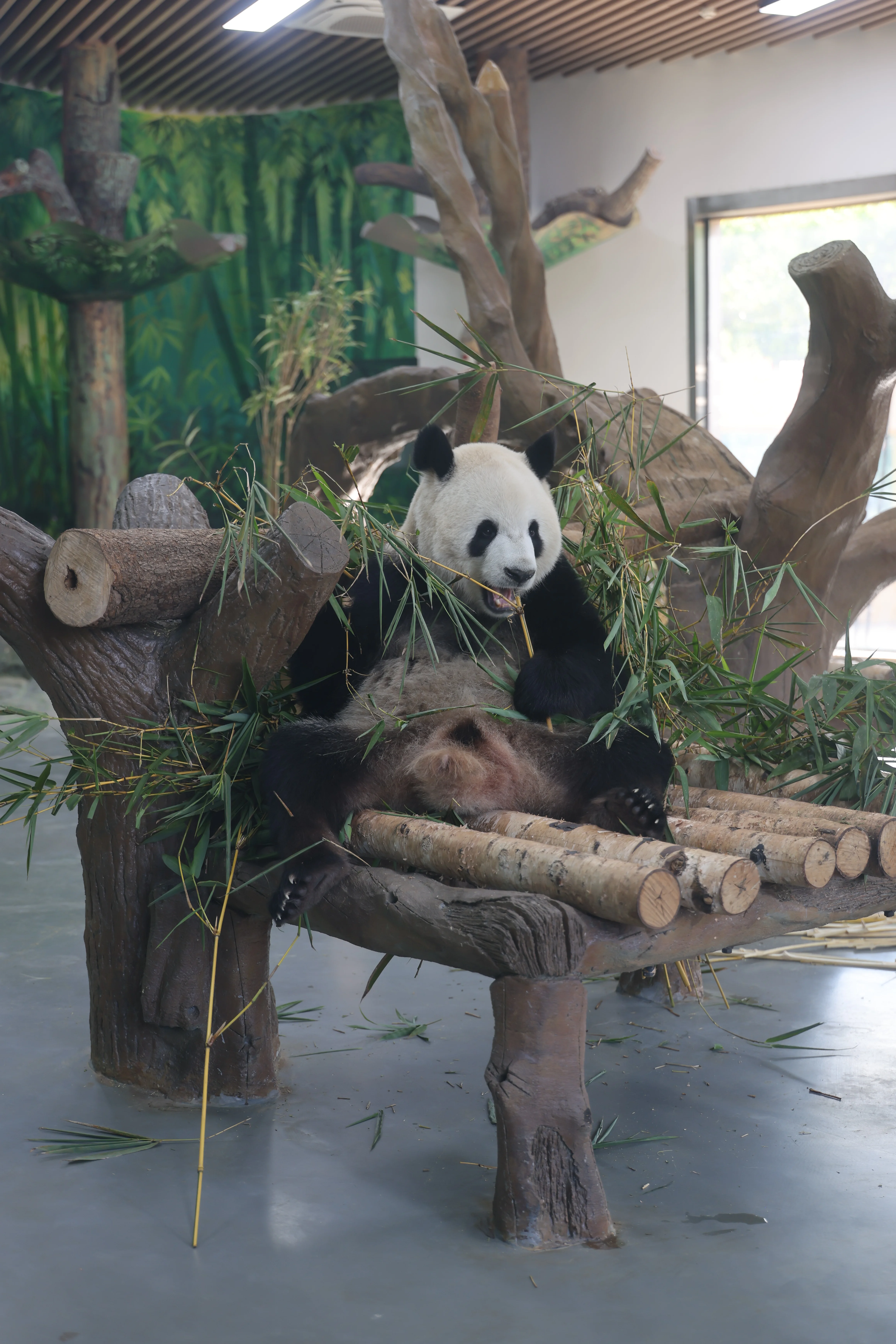 Guangzhou Zoo