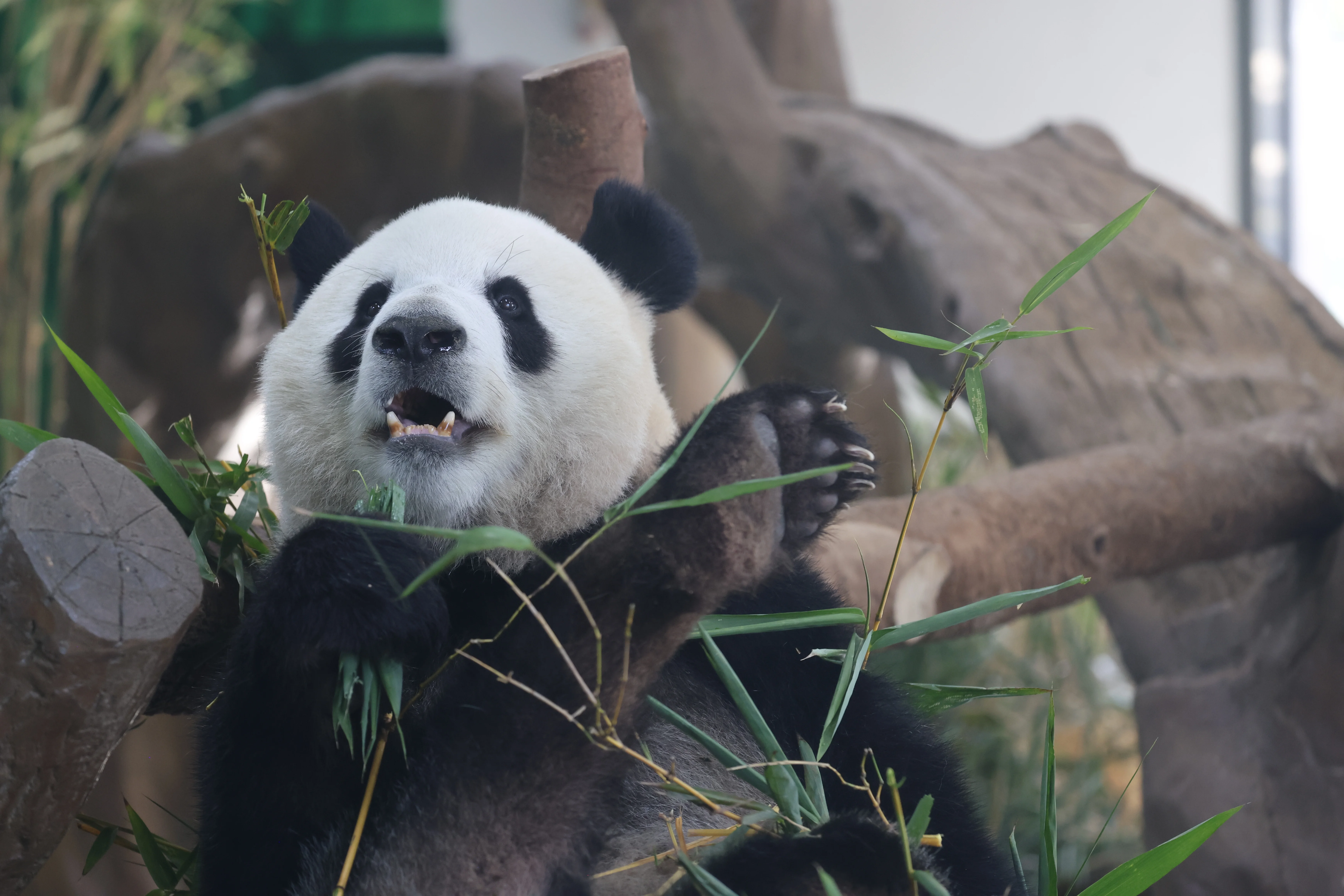 Guangzhou Zoo