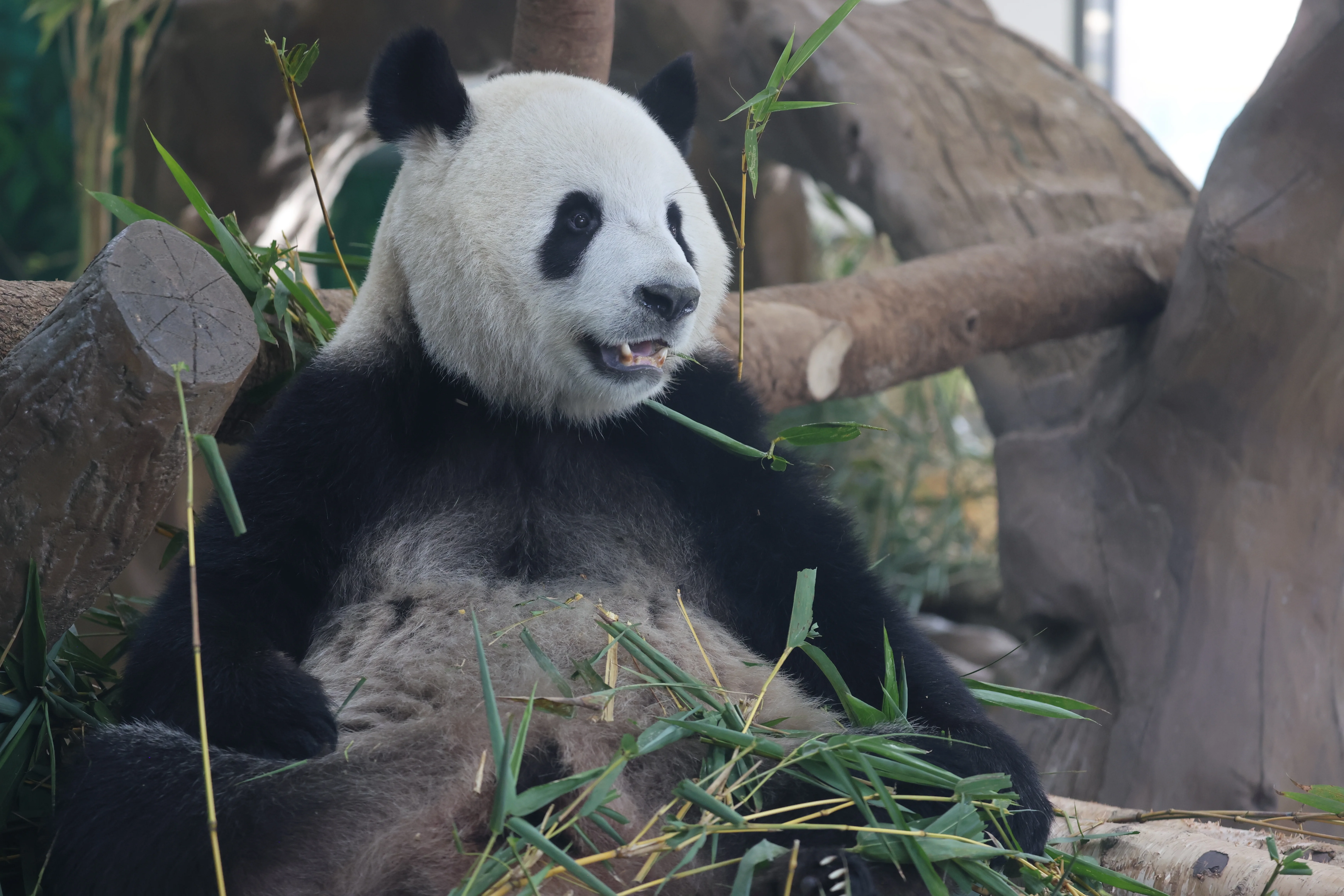 Guangzhou Zoo