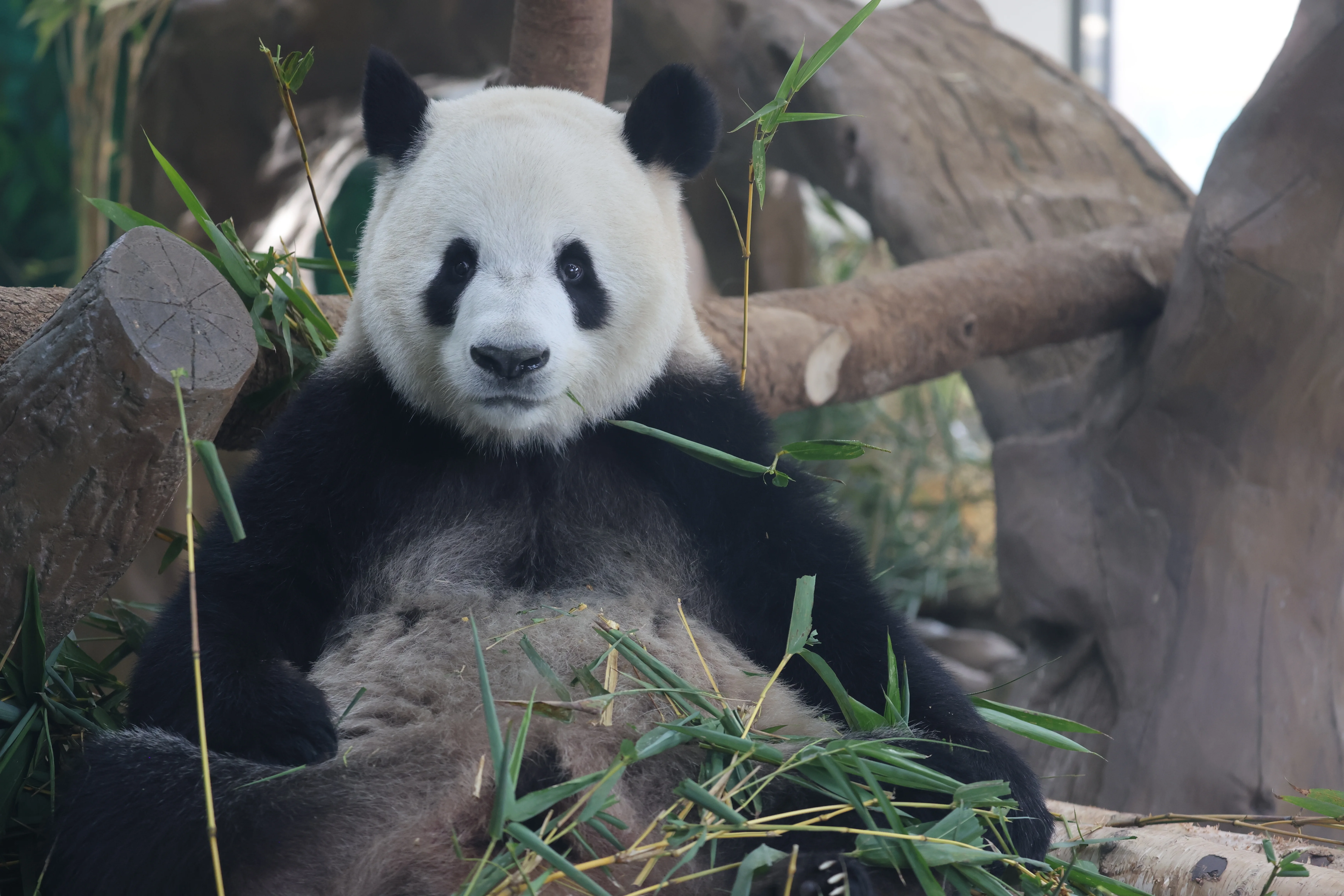 Guangzhou Zoo