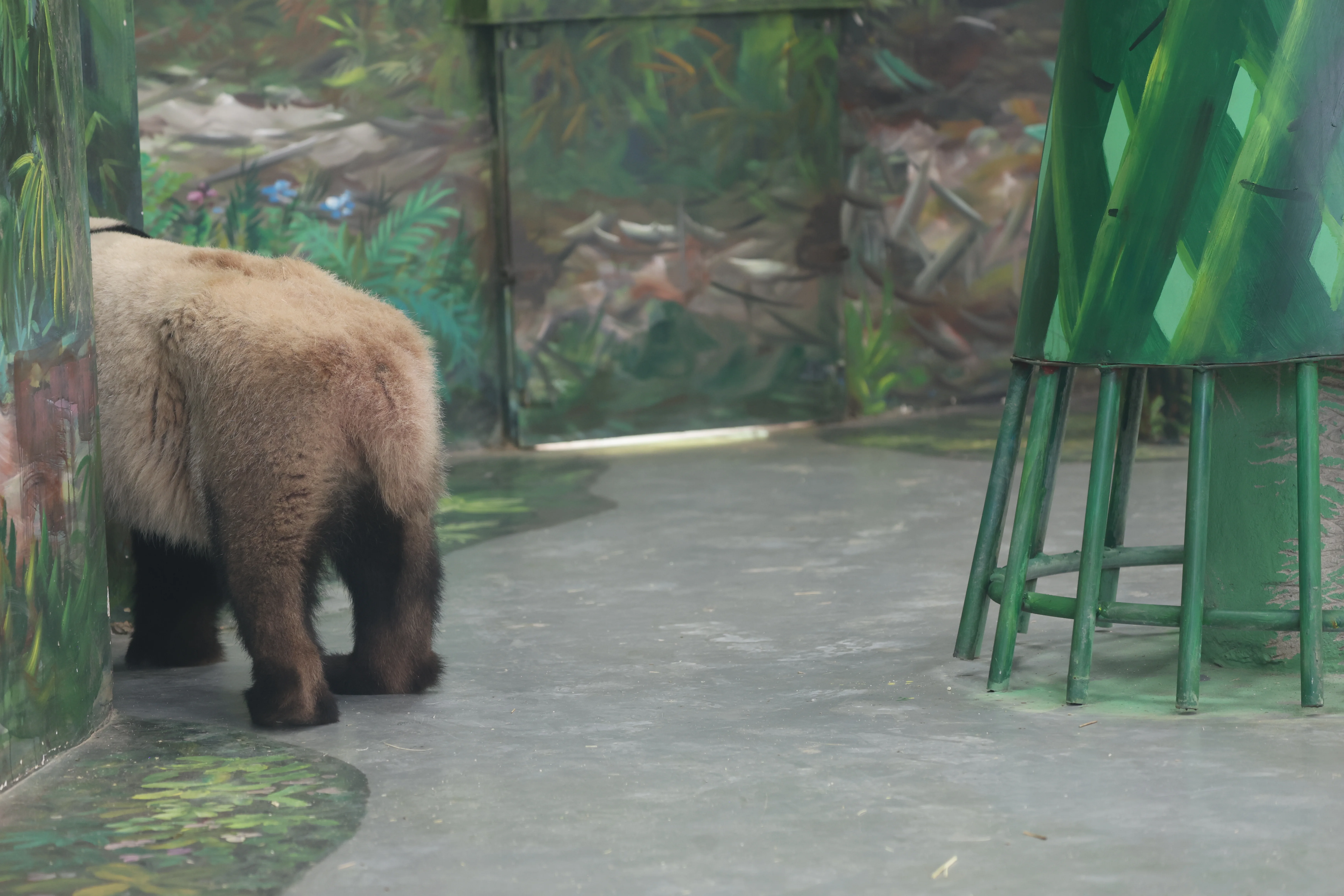 Guangzhou Zoo