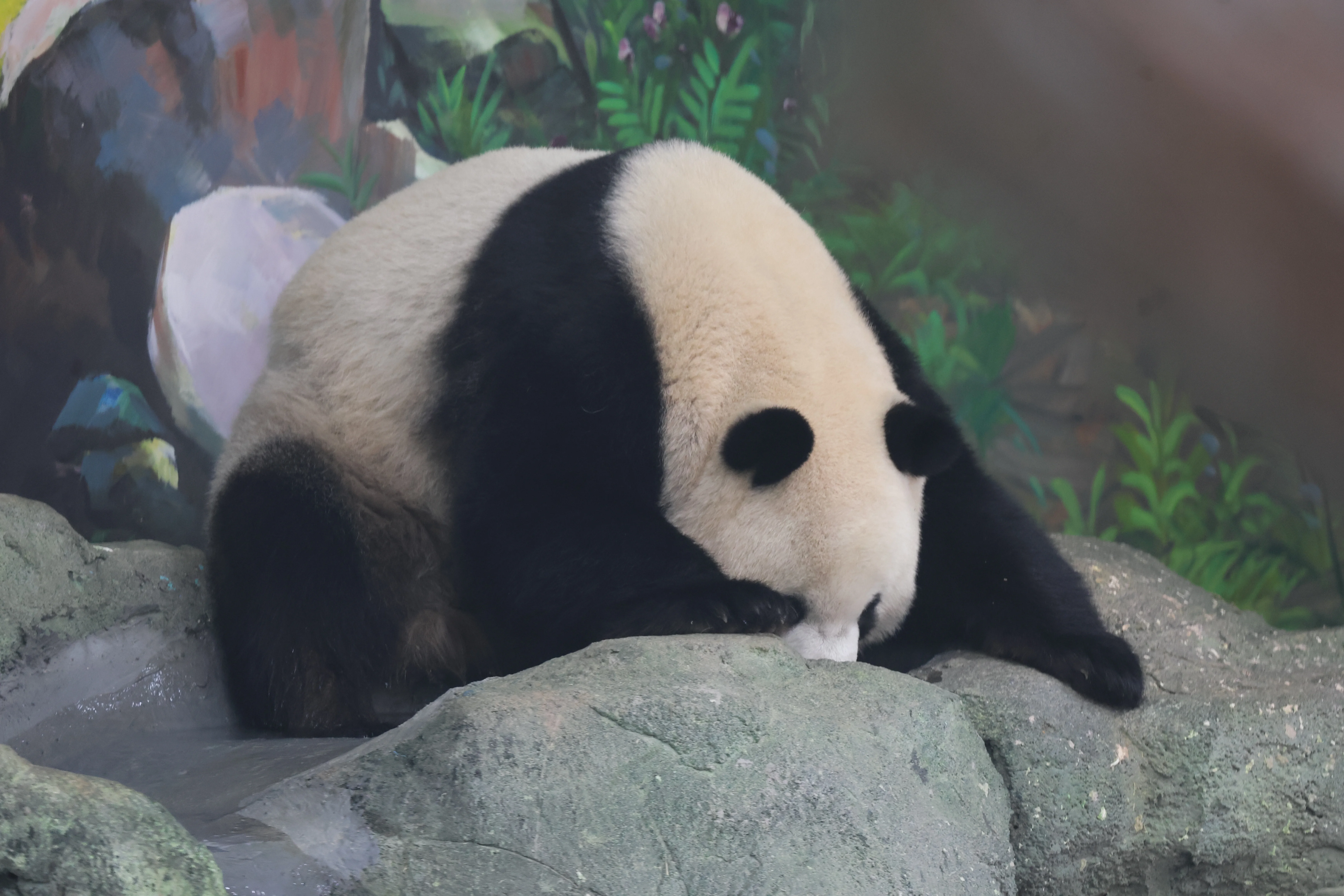 Guangzhou Zoo