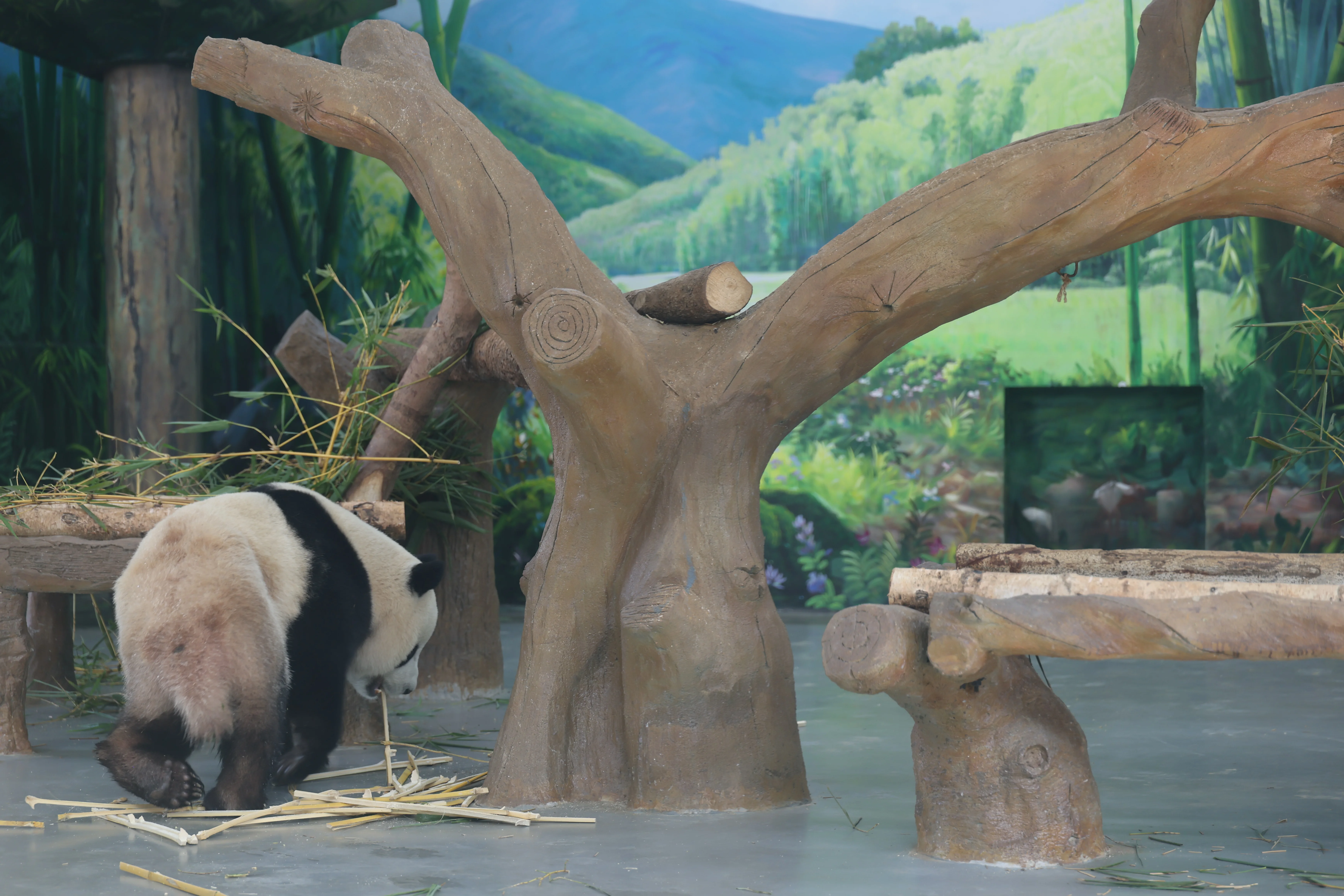 Guangzhou Zoo