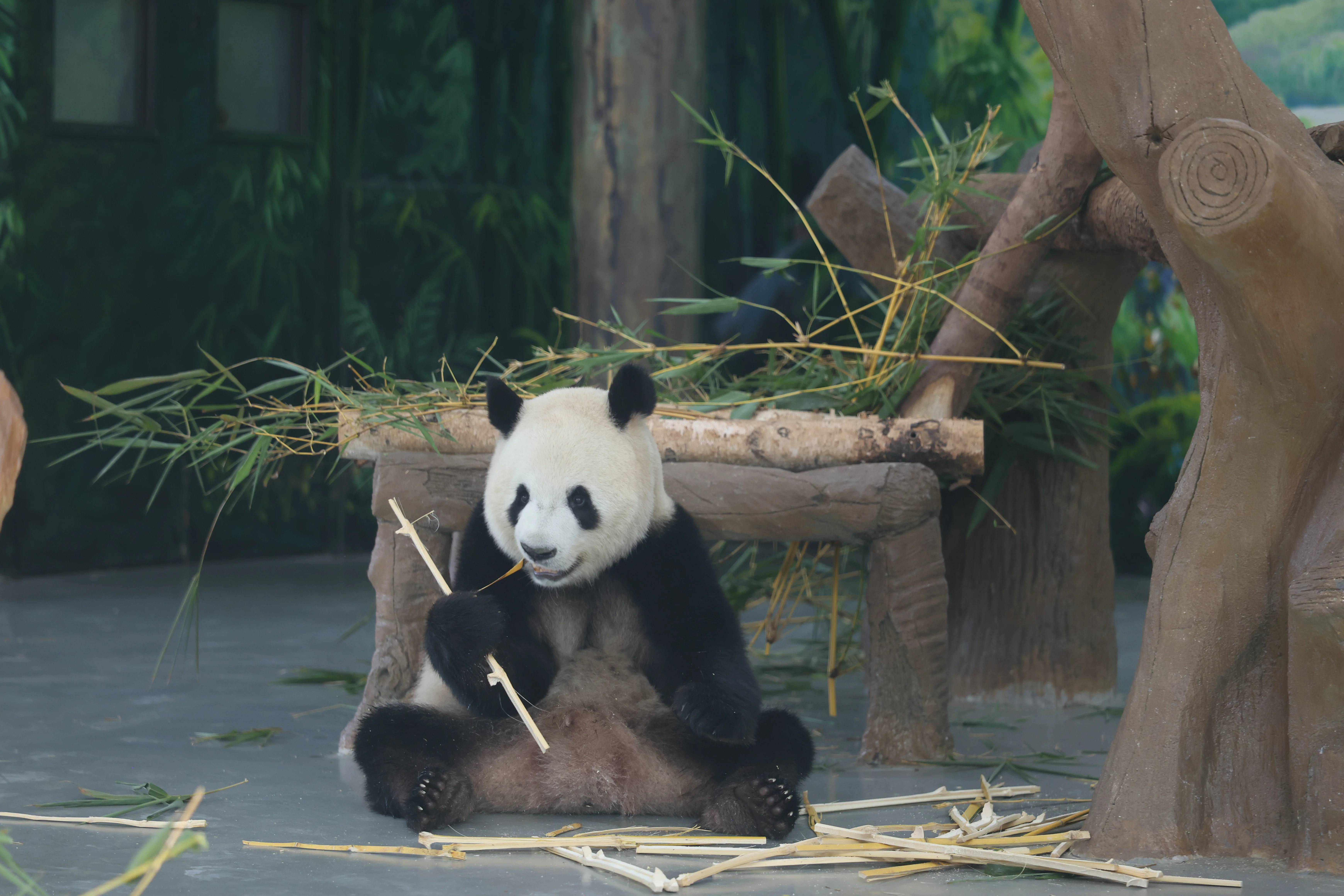 Guangzhou Zoo