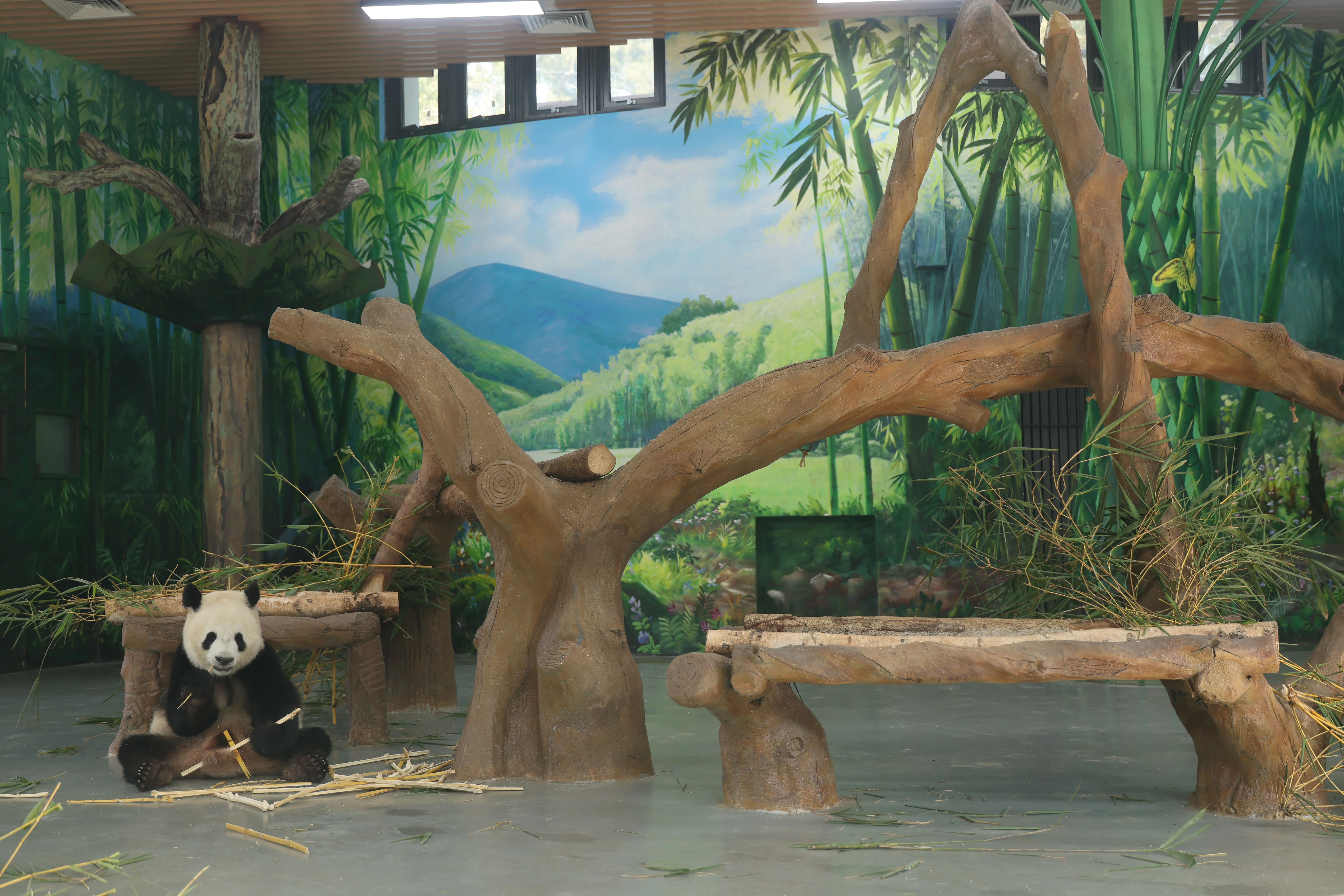 Guangzhou Zoo