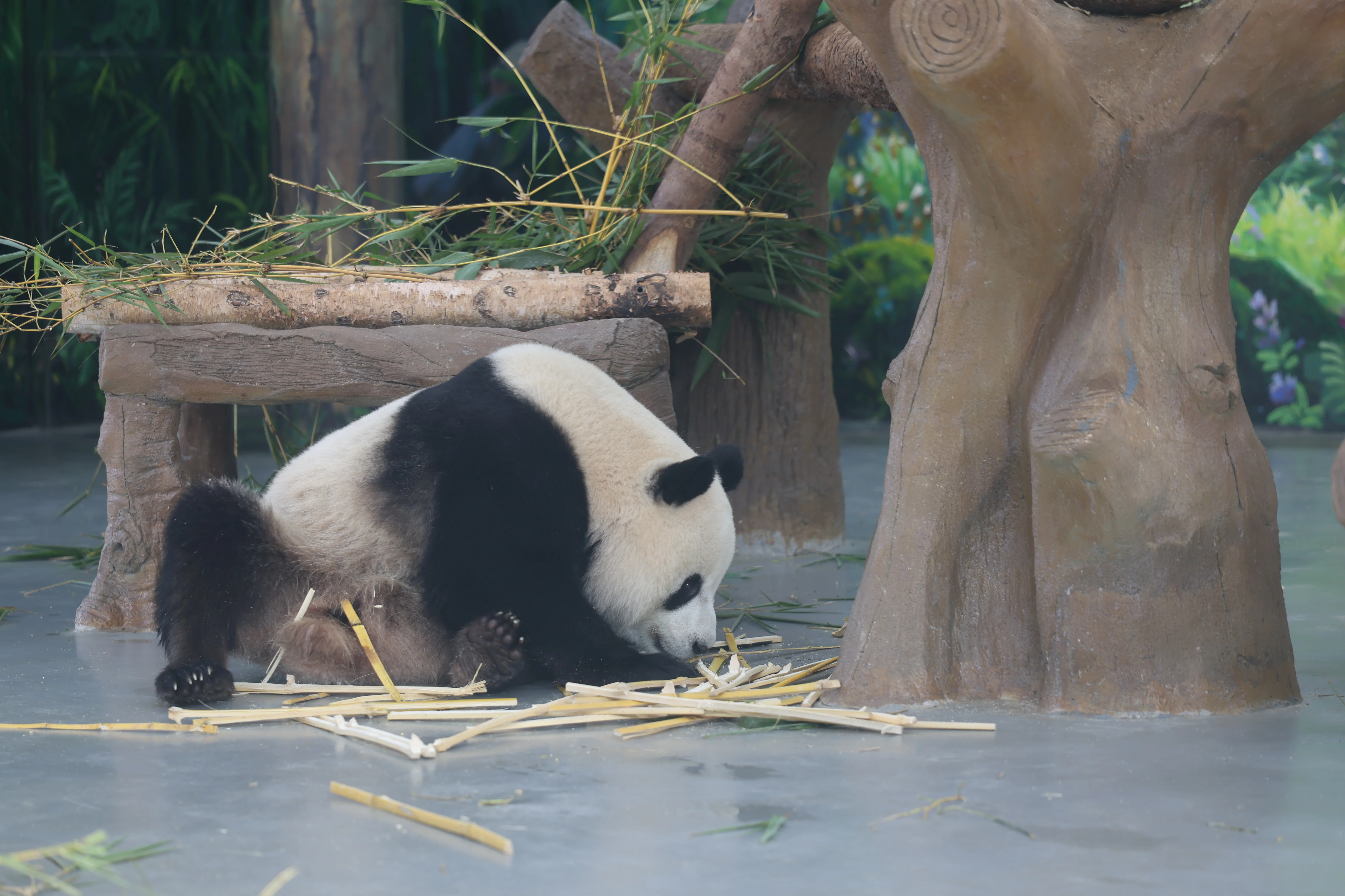Guangzhou Zoo