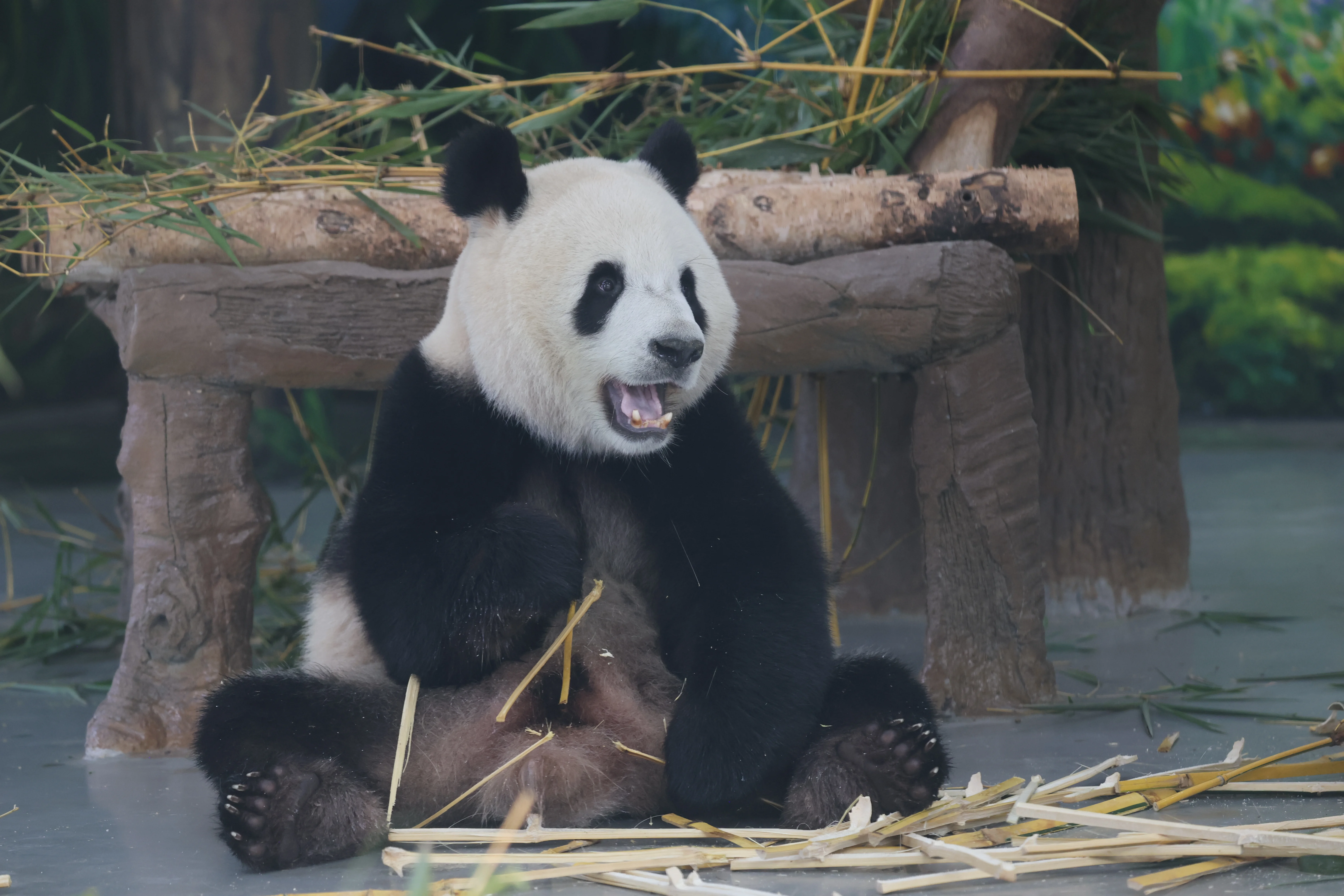 Guangzhou Zoo