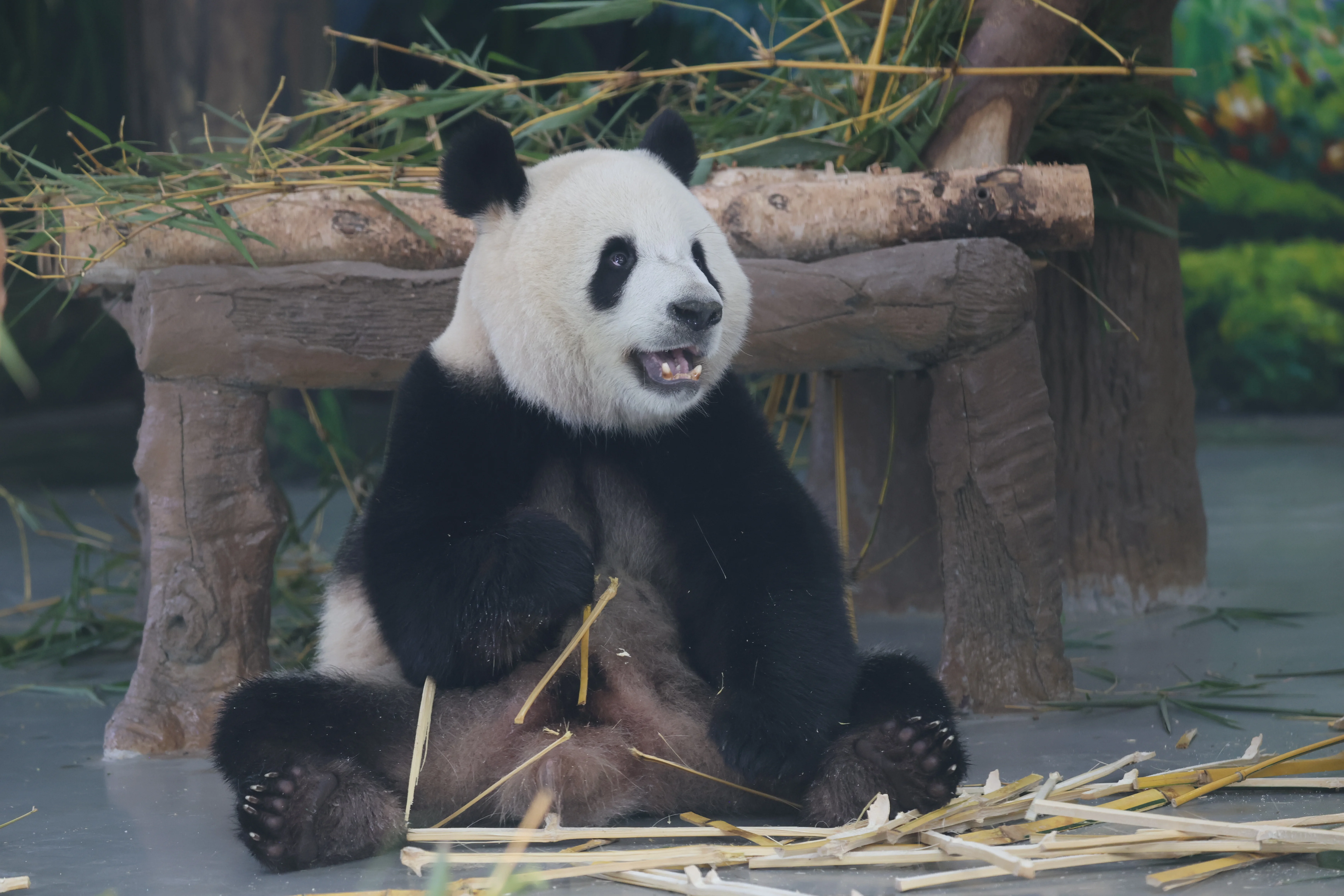 Guangzhou Zoo