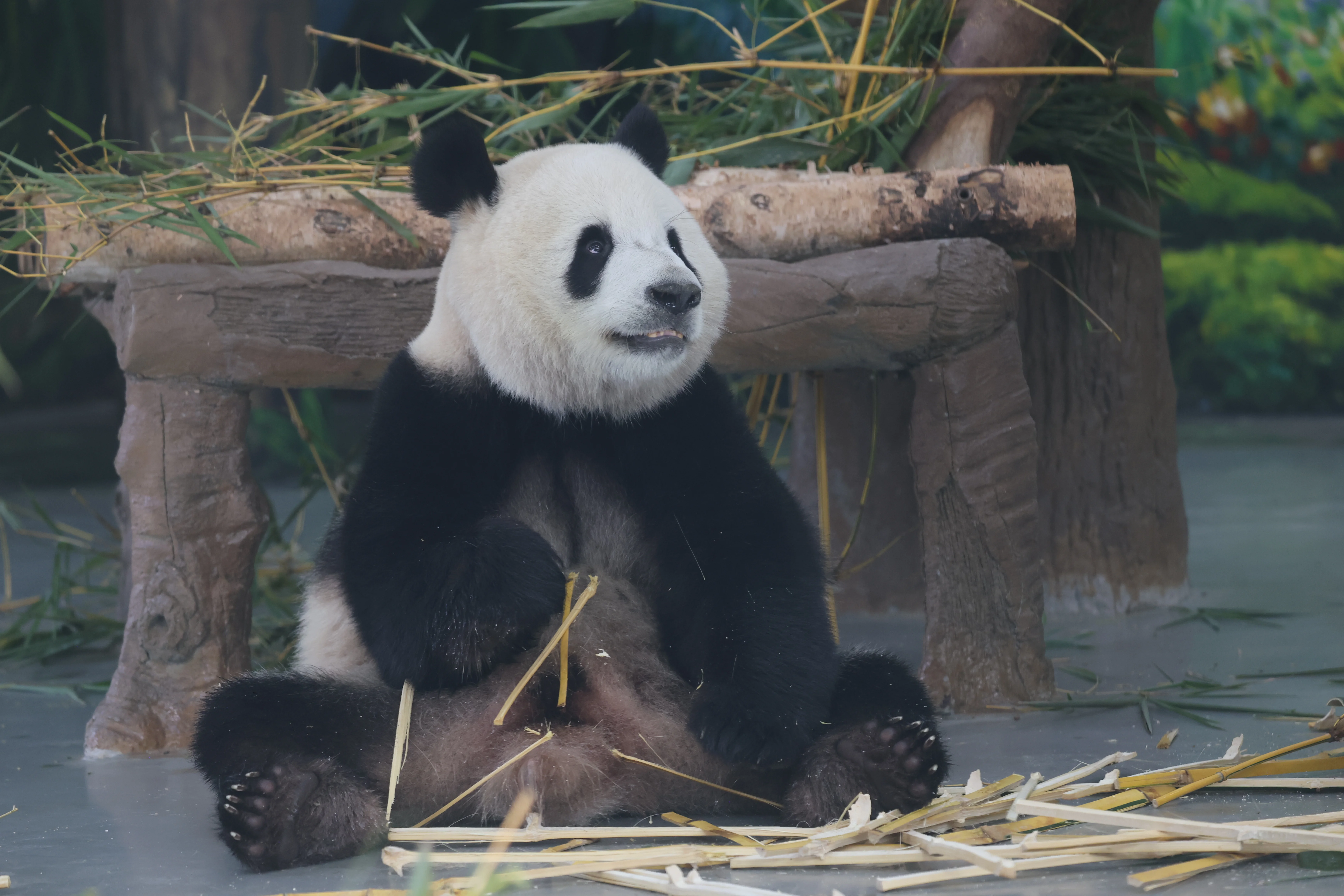 Guangzhou Zoo