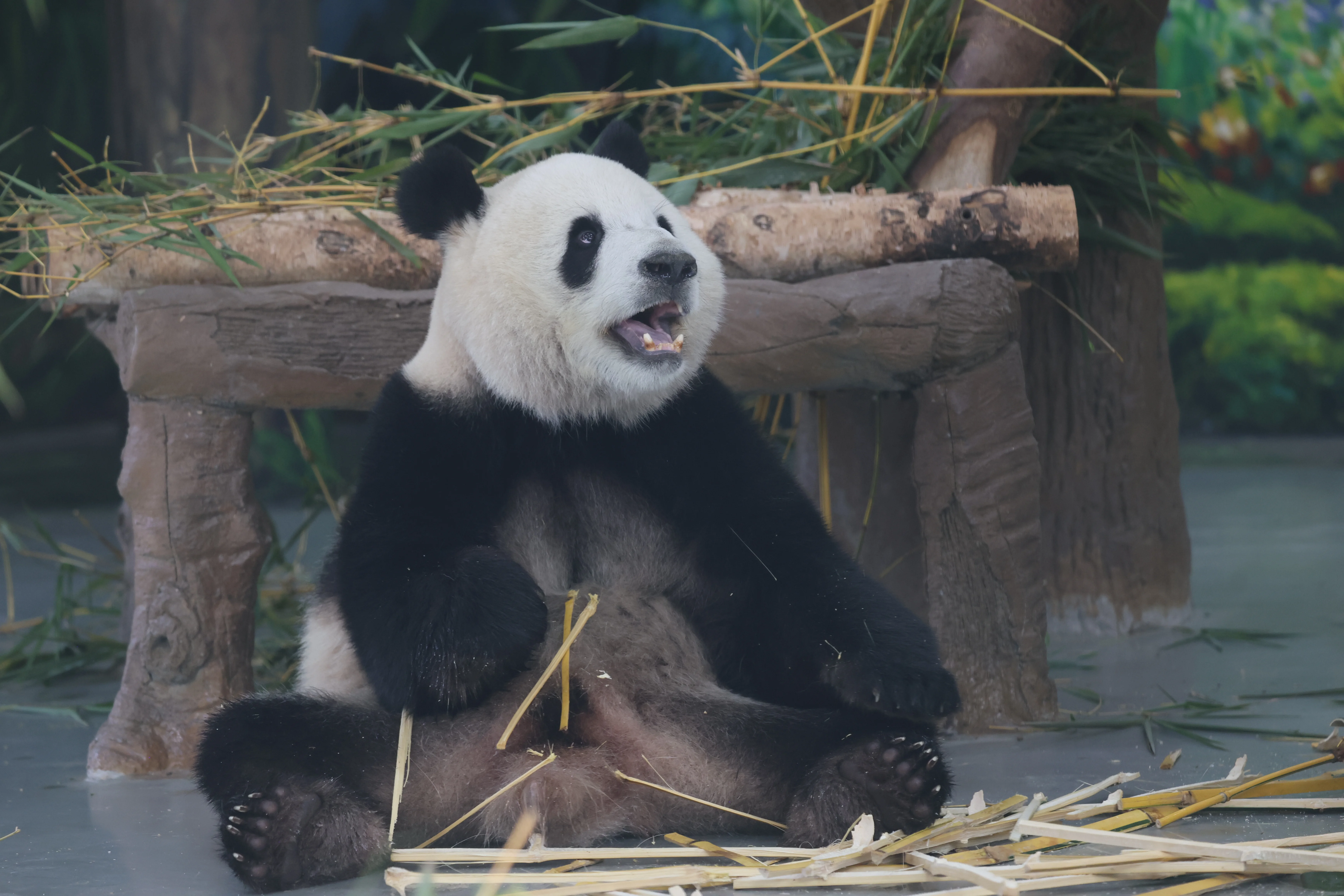 Guangzhou Zoo