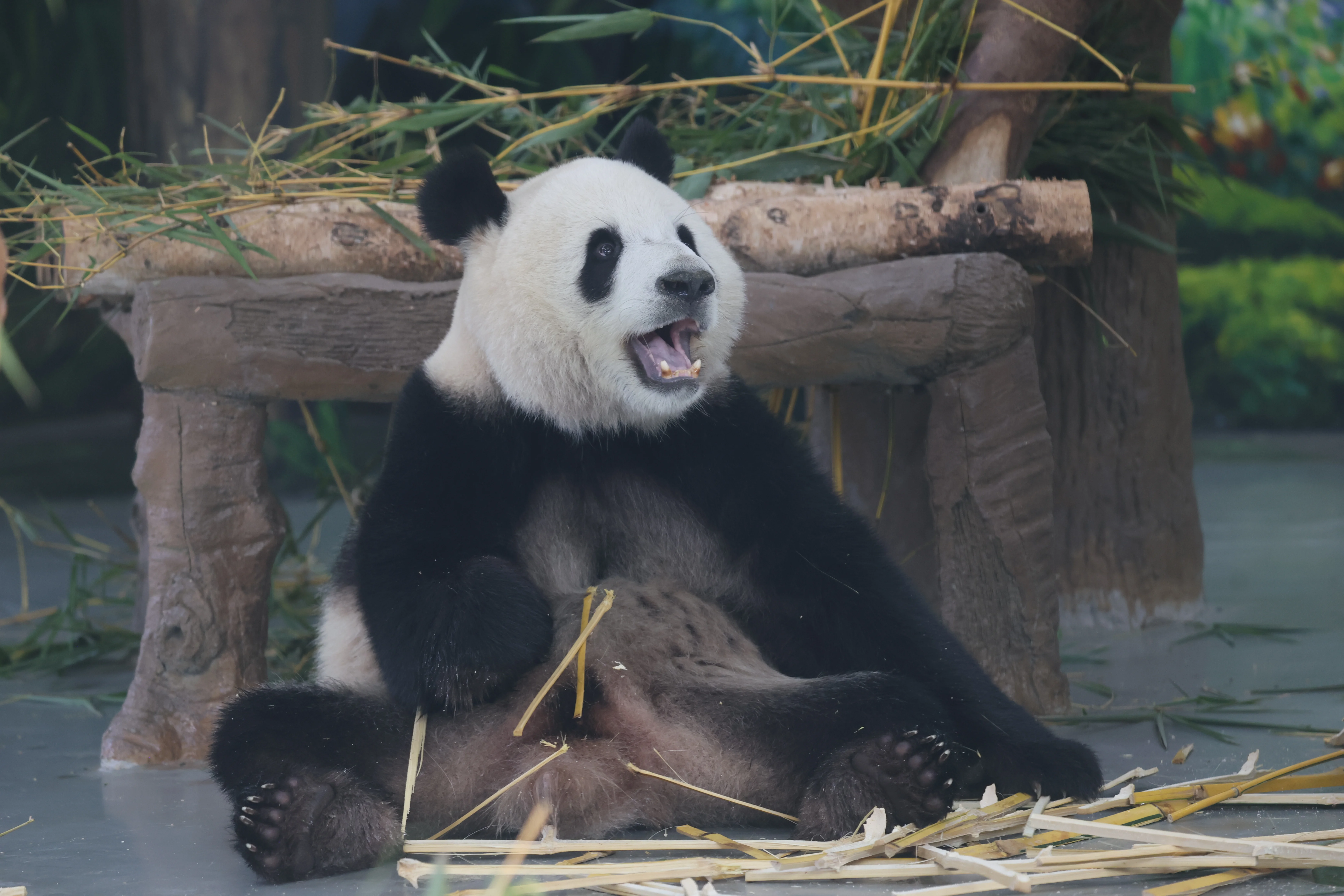 Guangzhou Zoo
