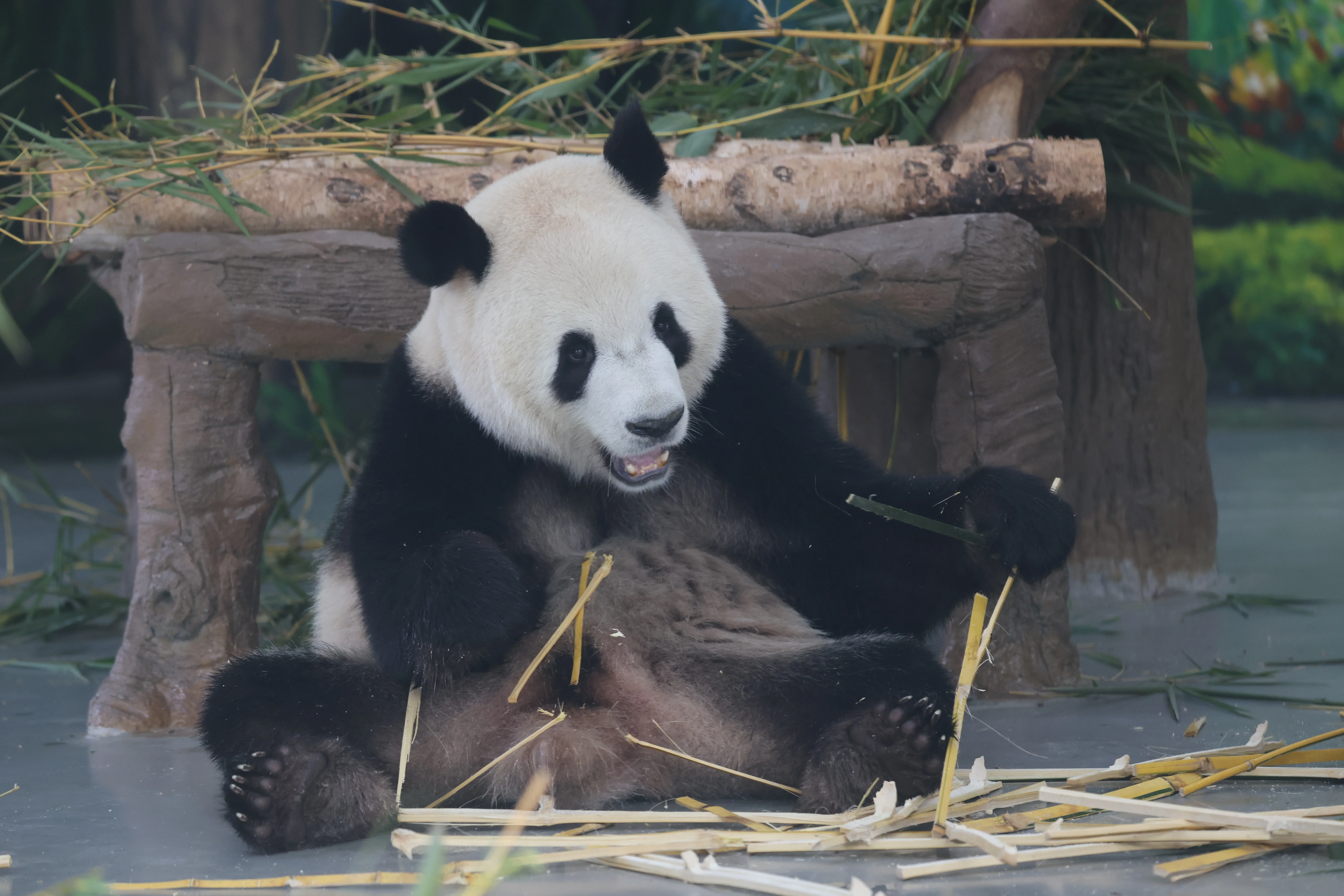 Guangzhou Zoo