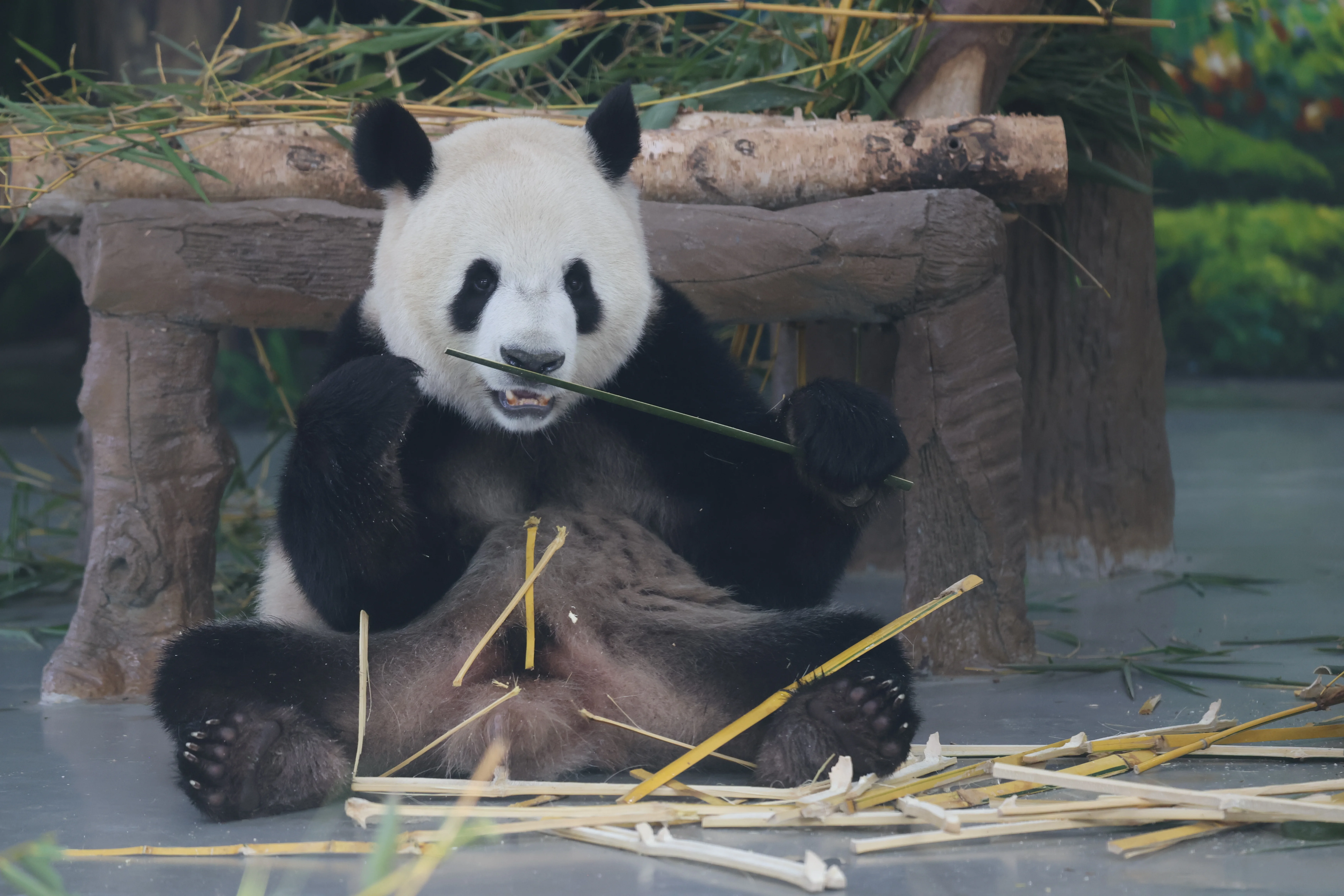 Guangzhou Zoo