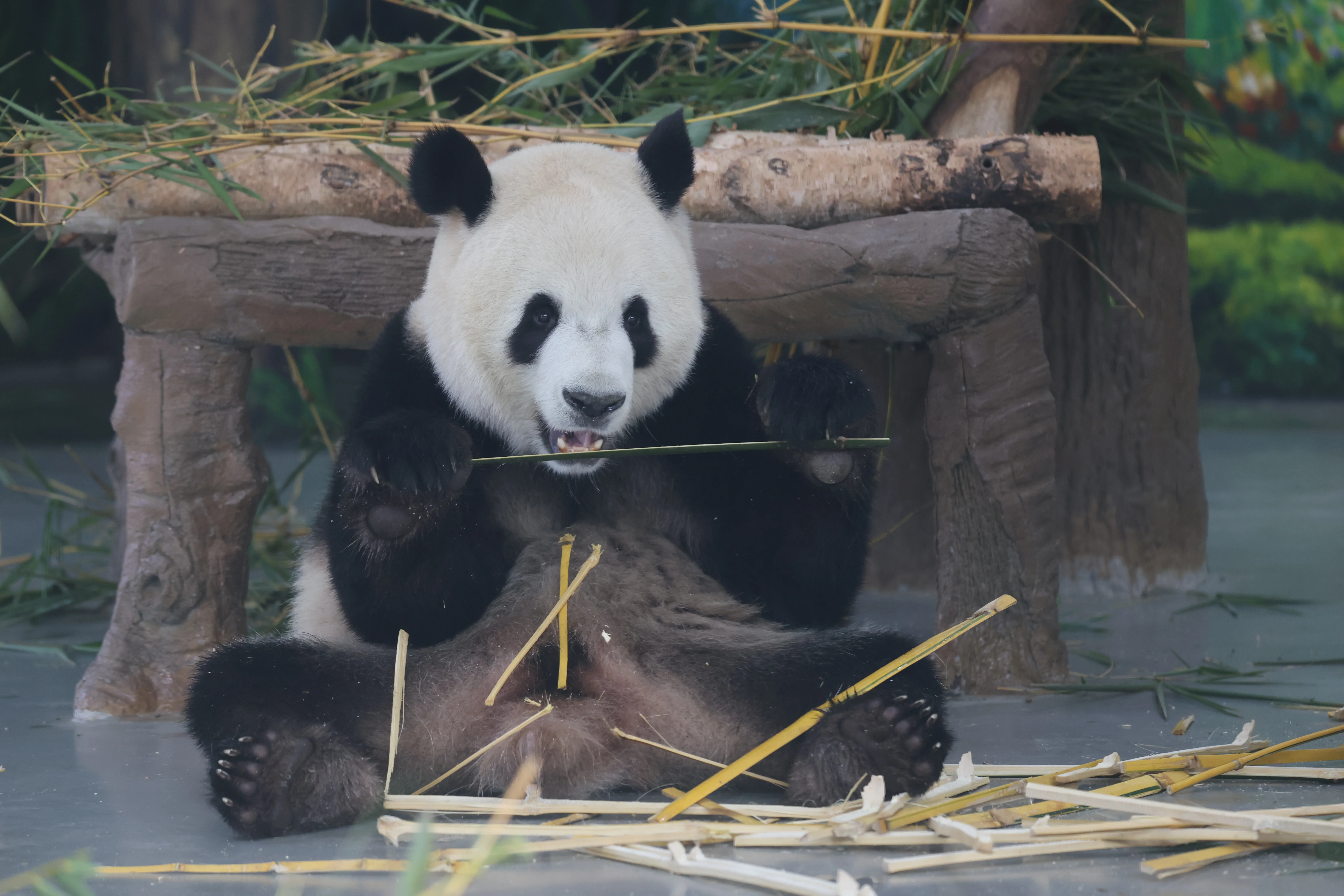 Guangzhou Zoo