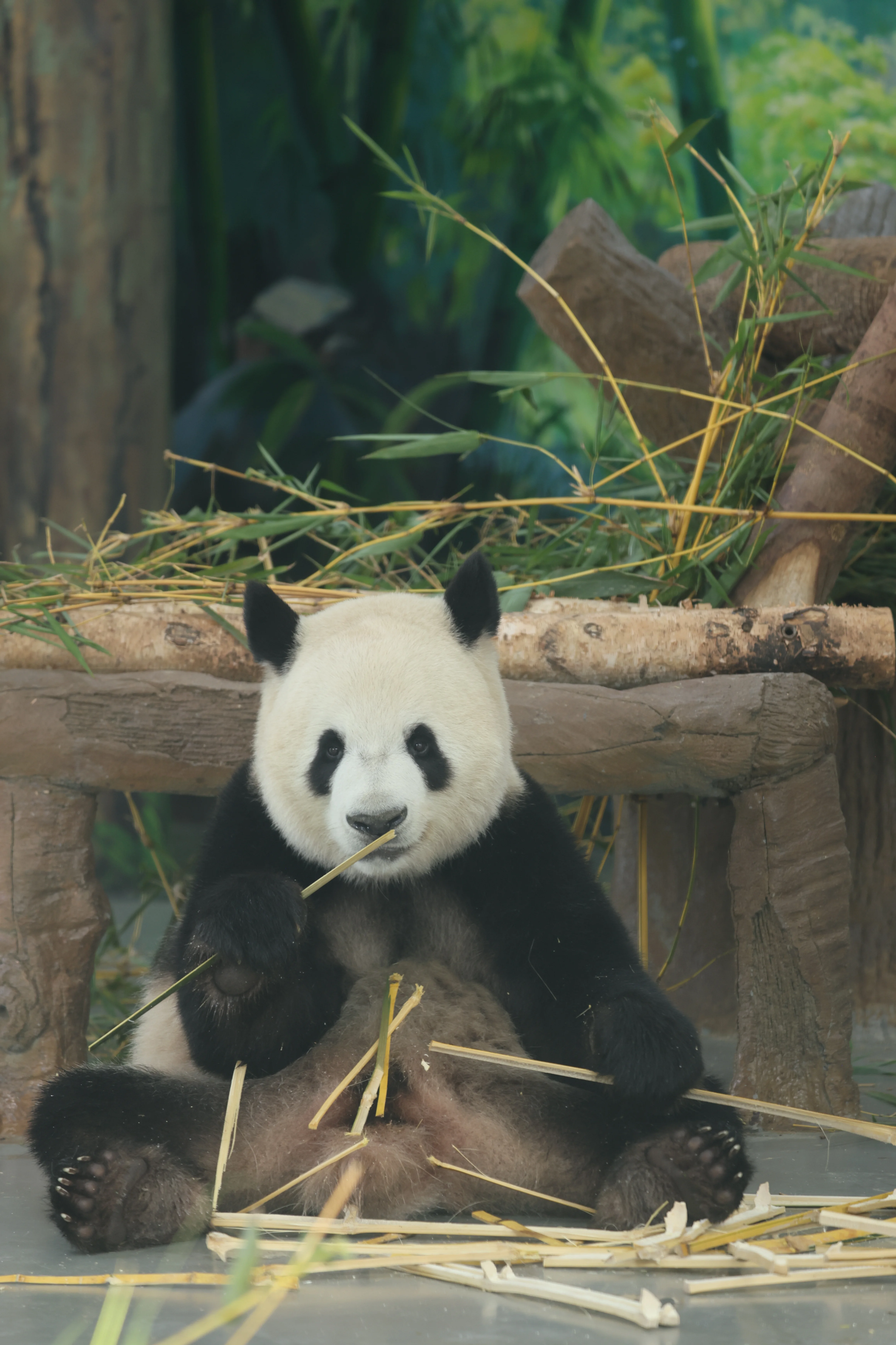 Guangzhou Zoo