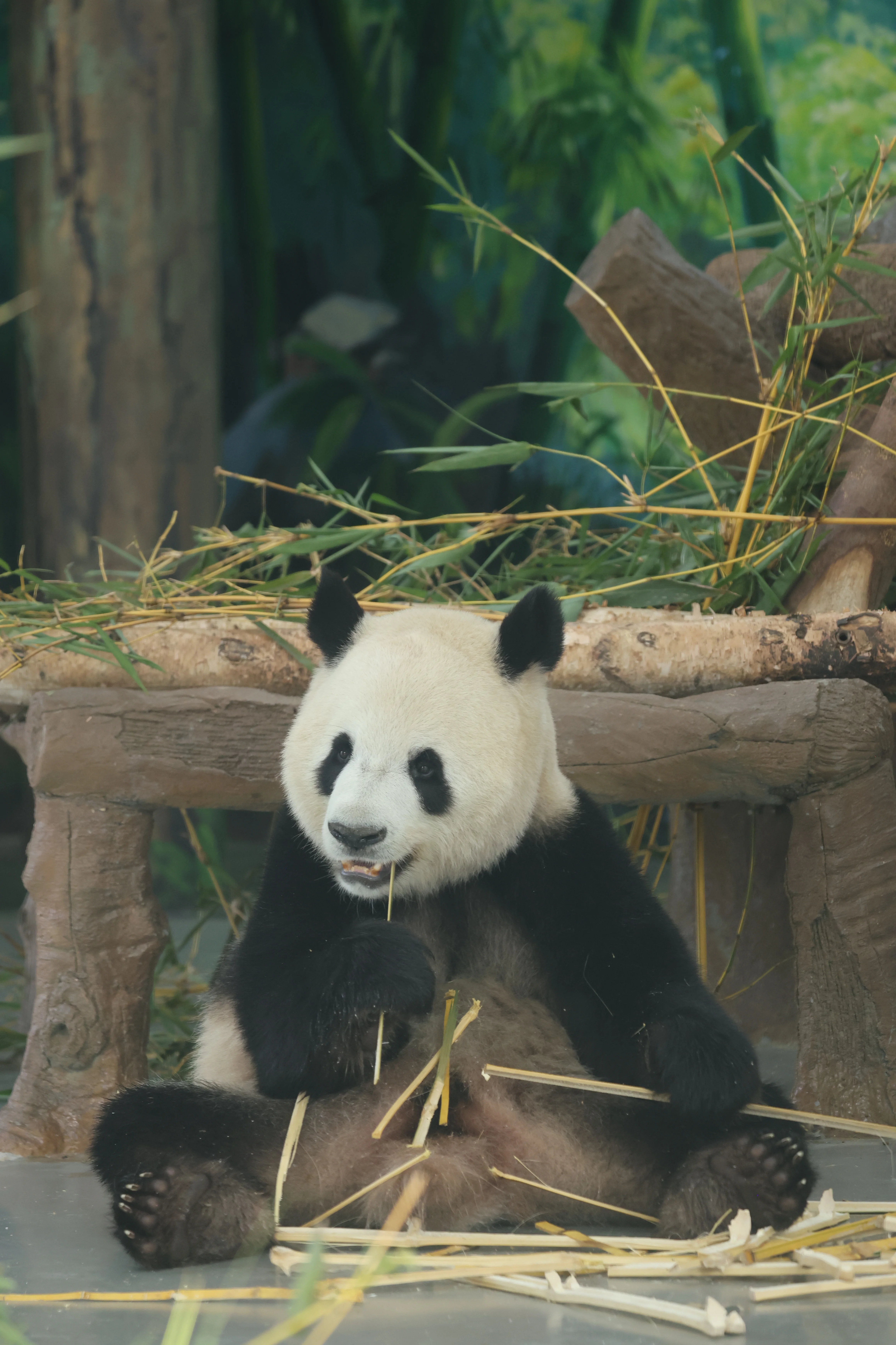 Guangzhou Zoo