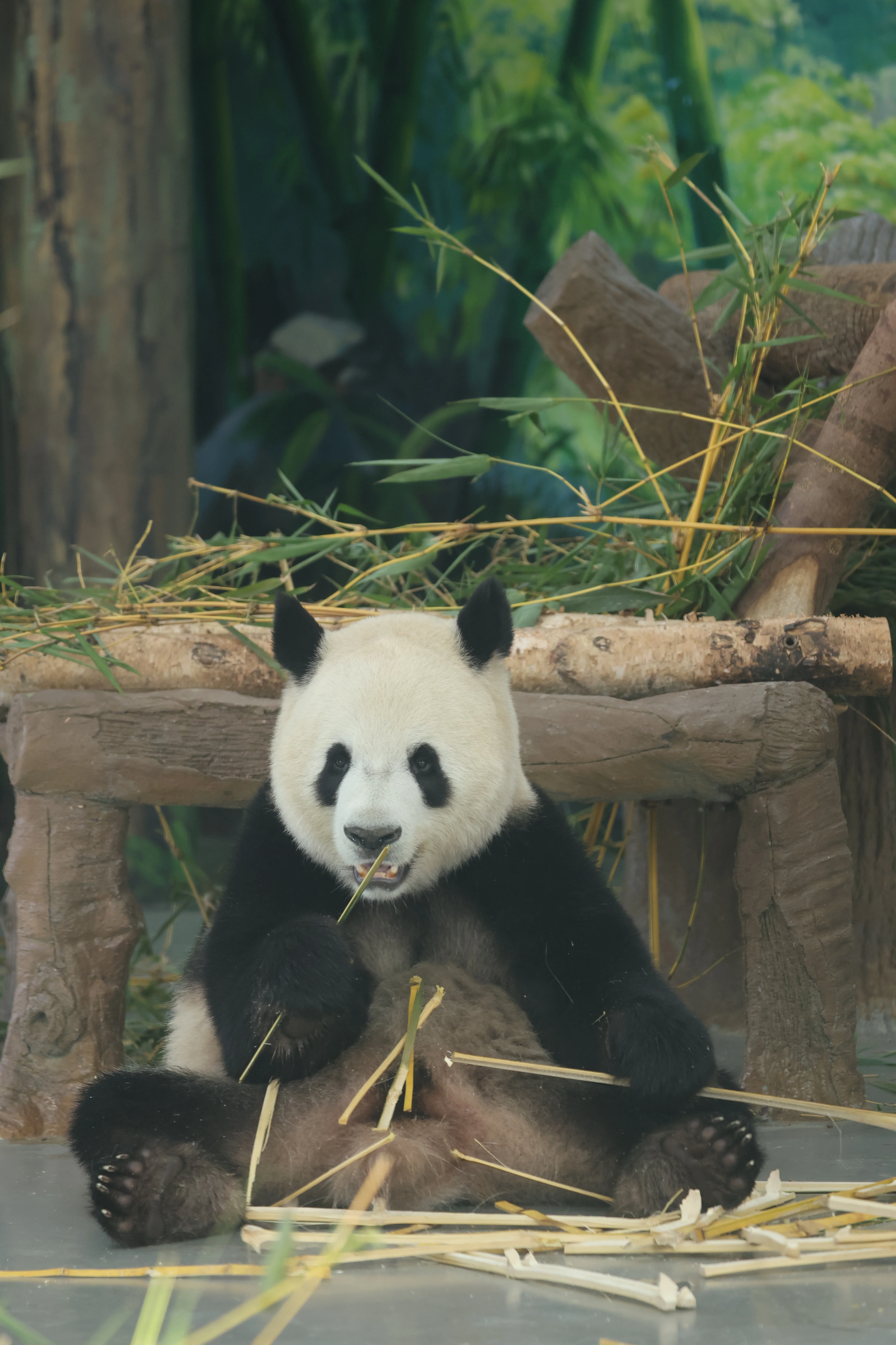 Guangzhou Zoo
