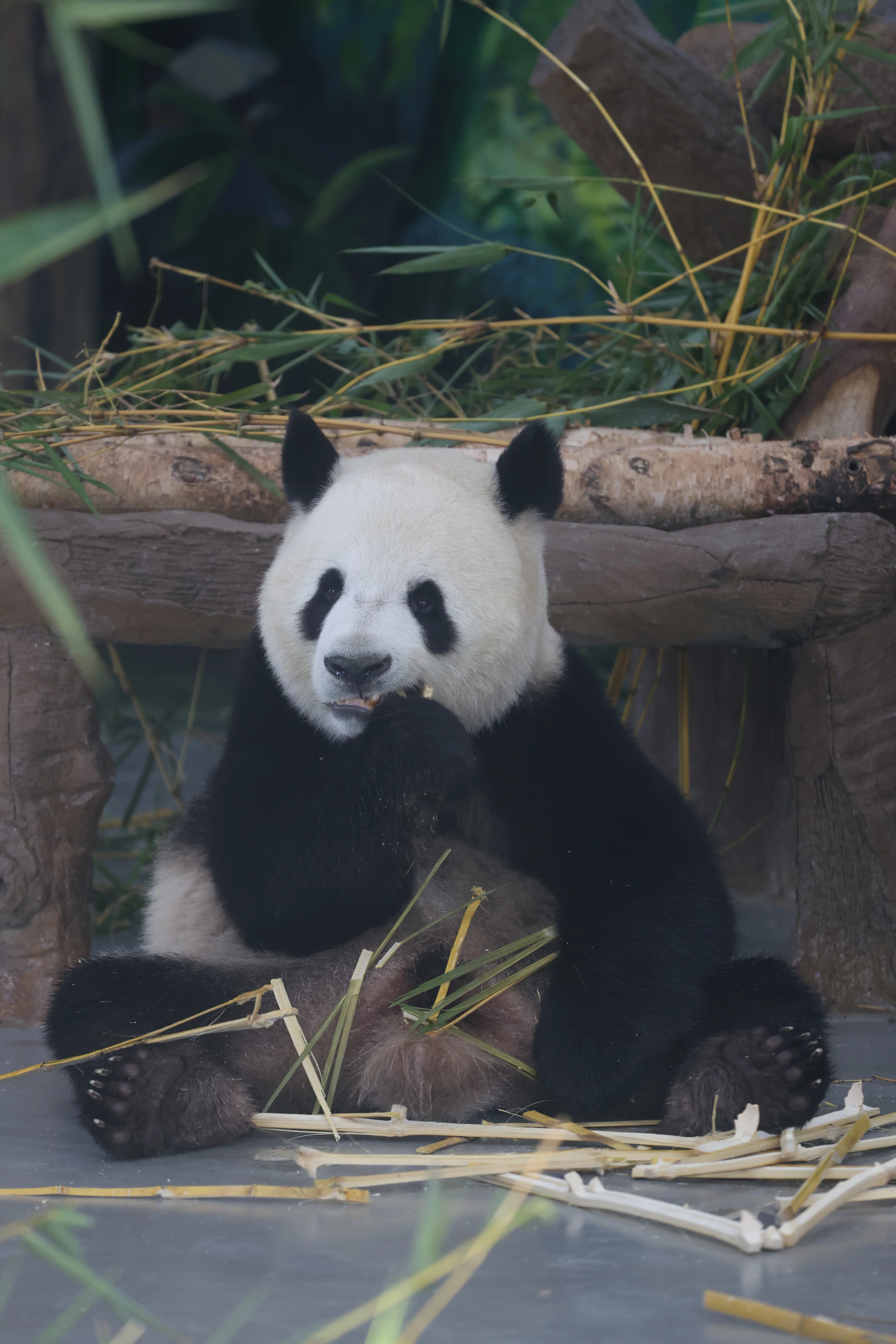 Guangzhou Zoo