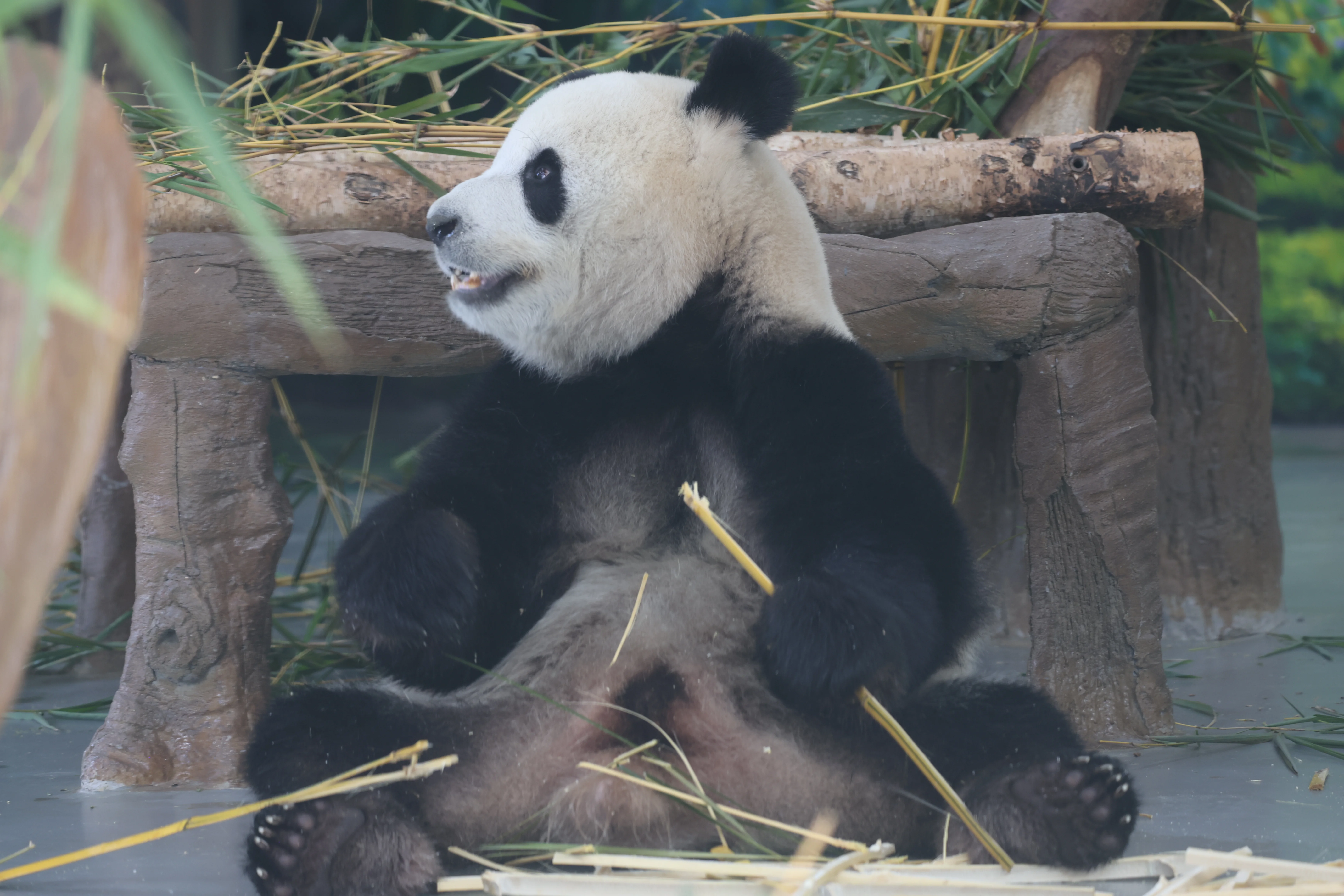 Guangzhou Zoo