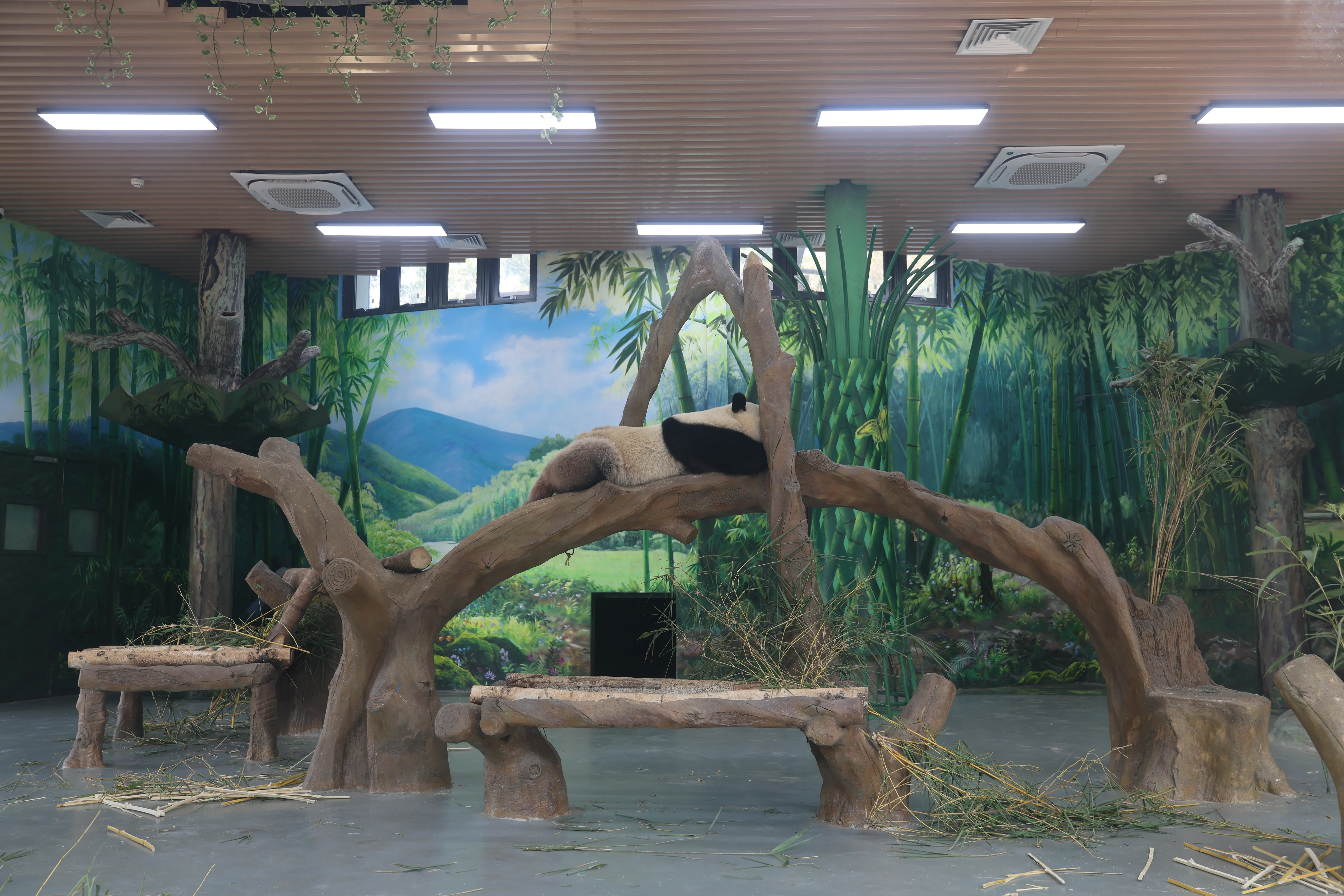 Guangzhou Zoo