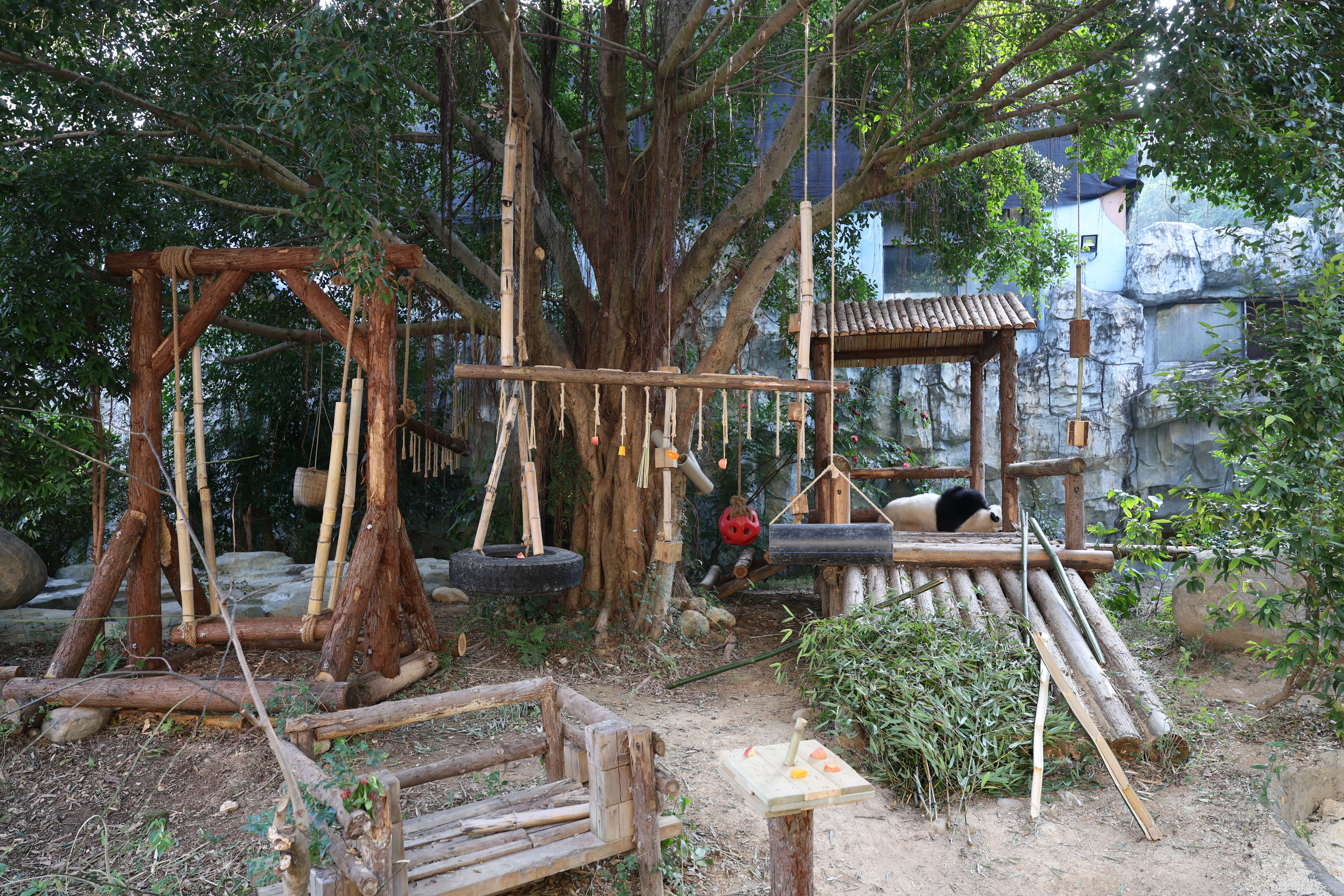 Quanzhou Haisi Safari Park