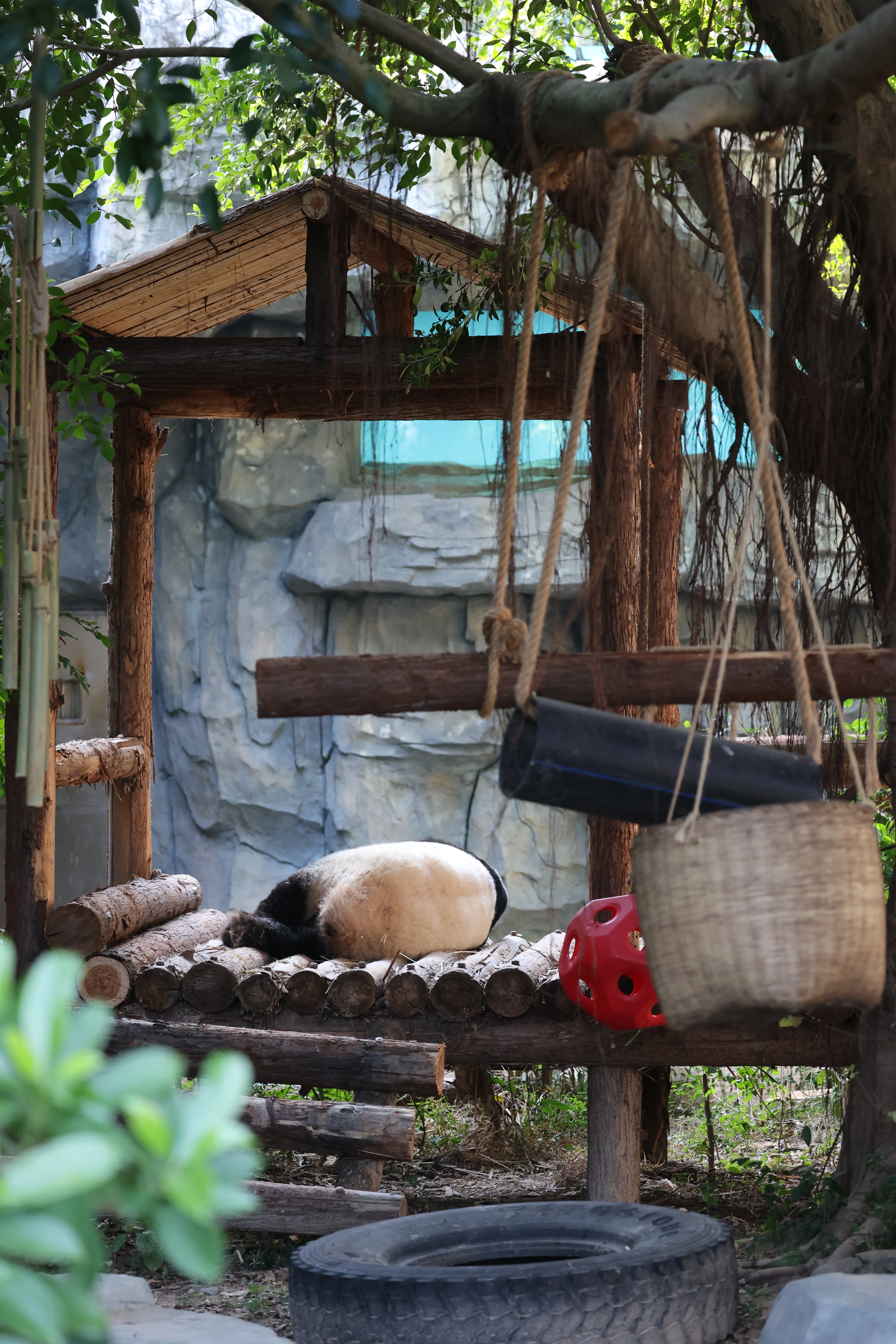 Quanzhou Haisi Safari Park
