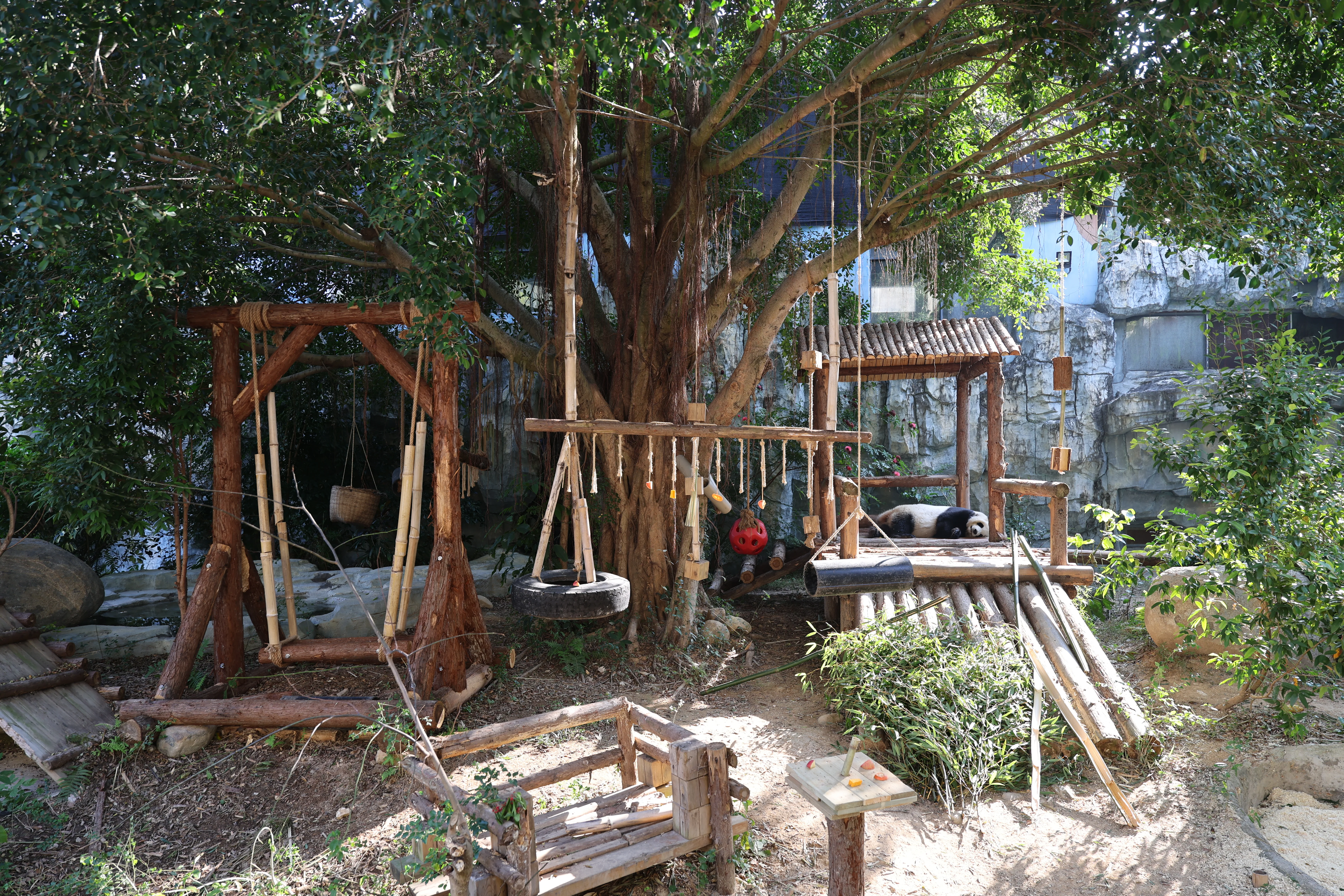 Quanzhou Haisi Safari Park