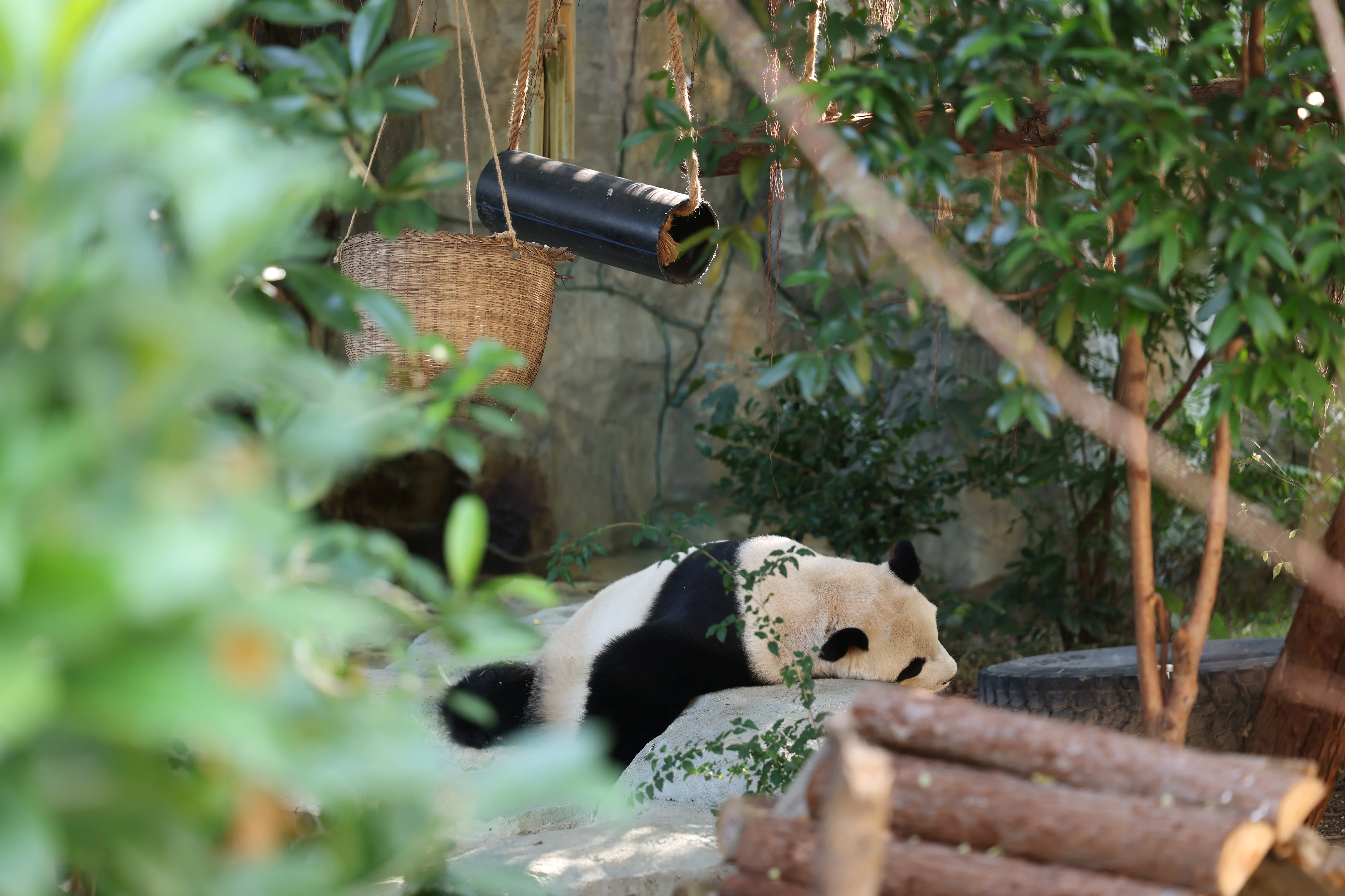 Quanzhou Haisi Safari Park