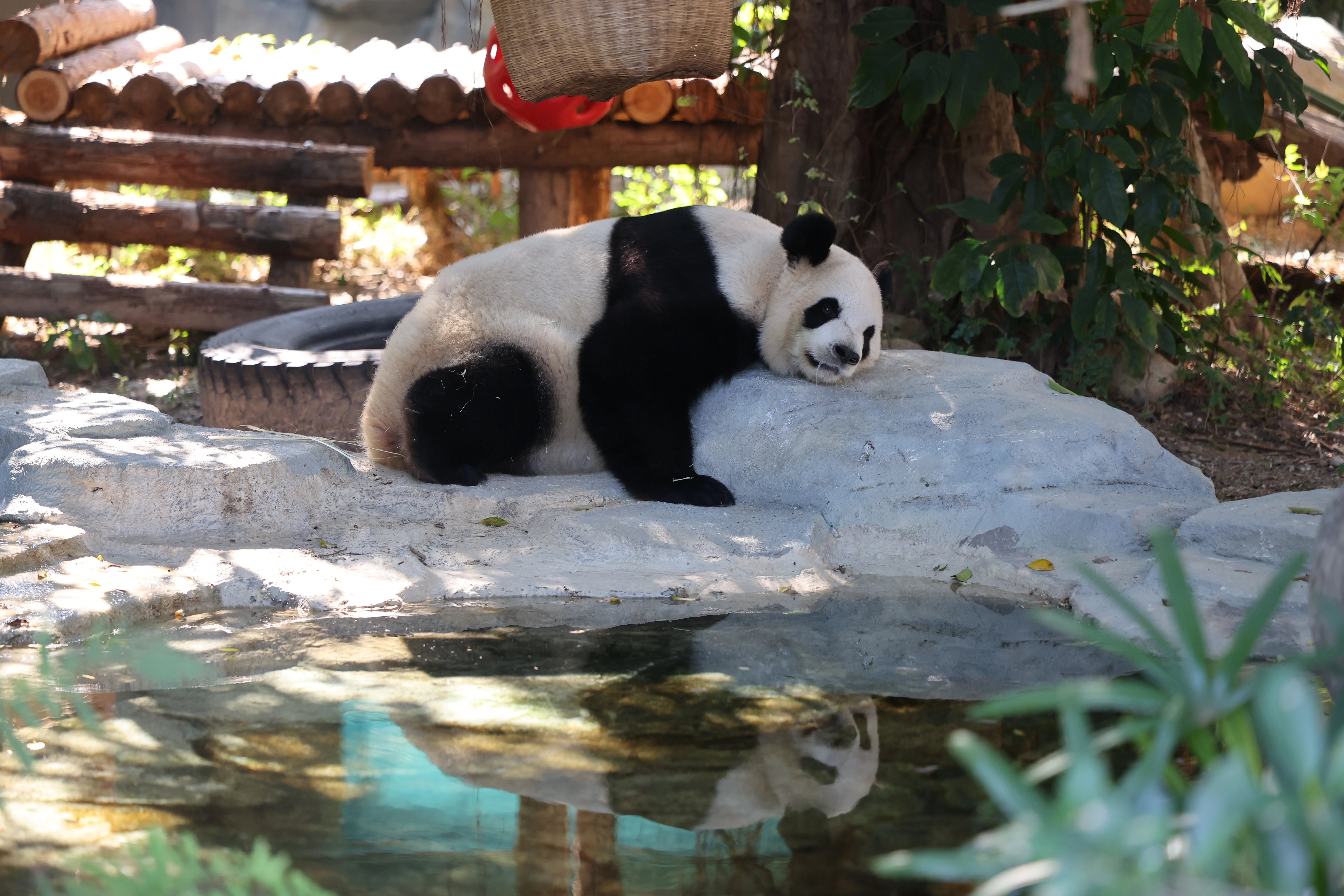 Quanzhou Haisi Safari Park